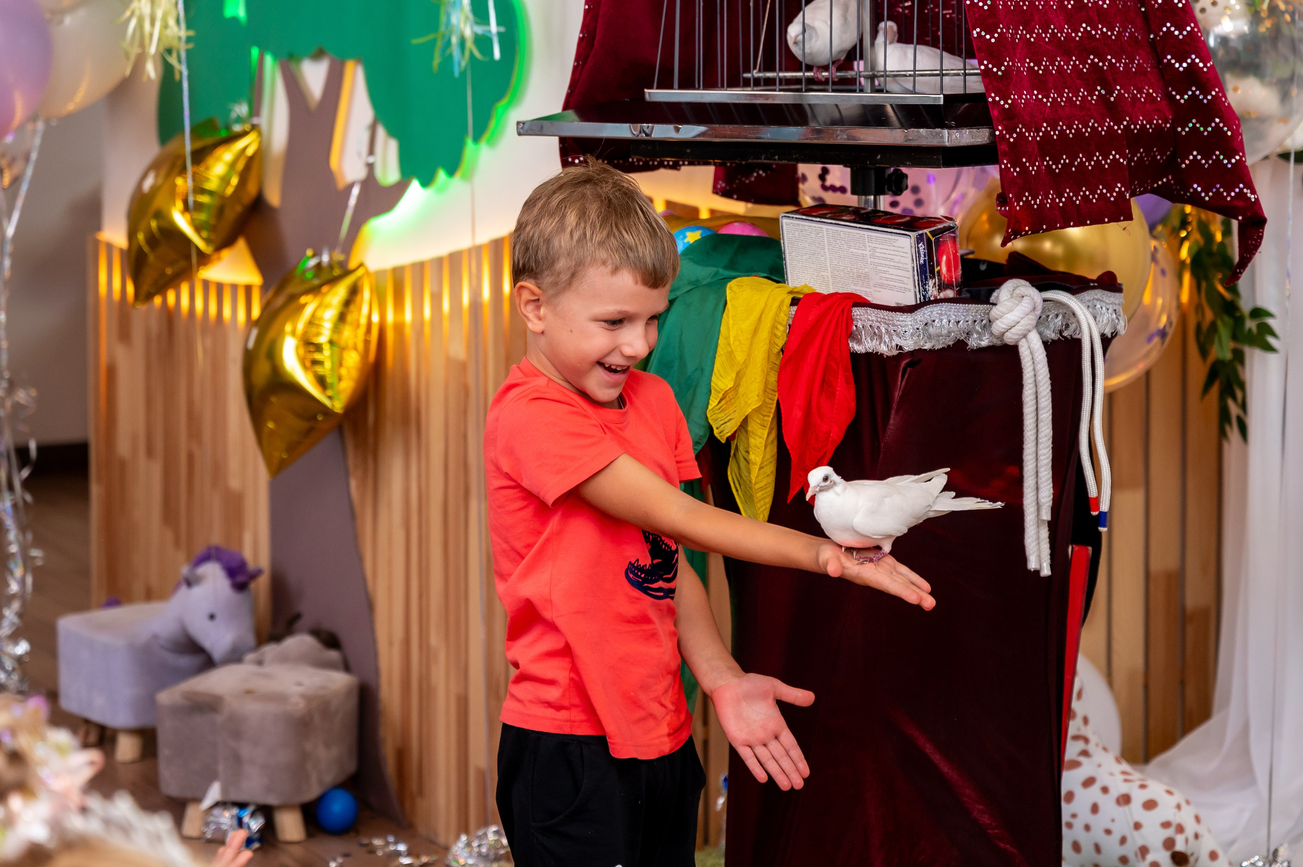 ДР в лофте с фокусником