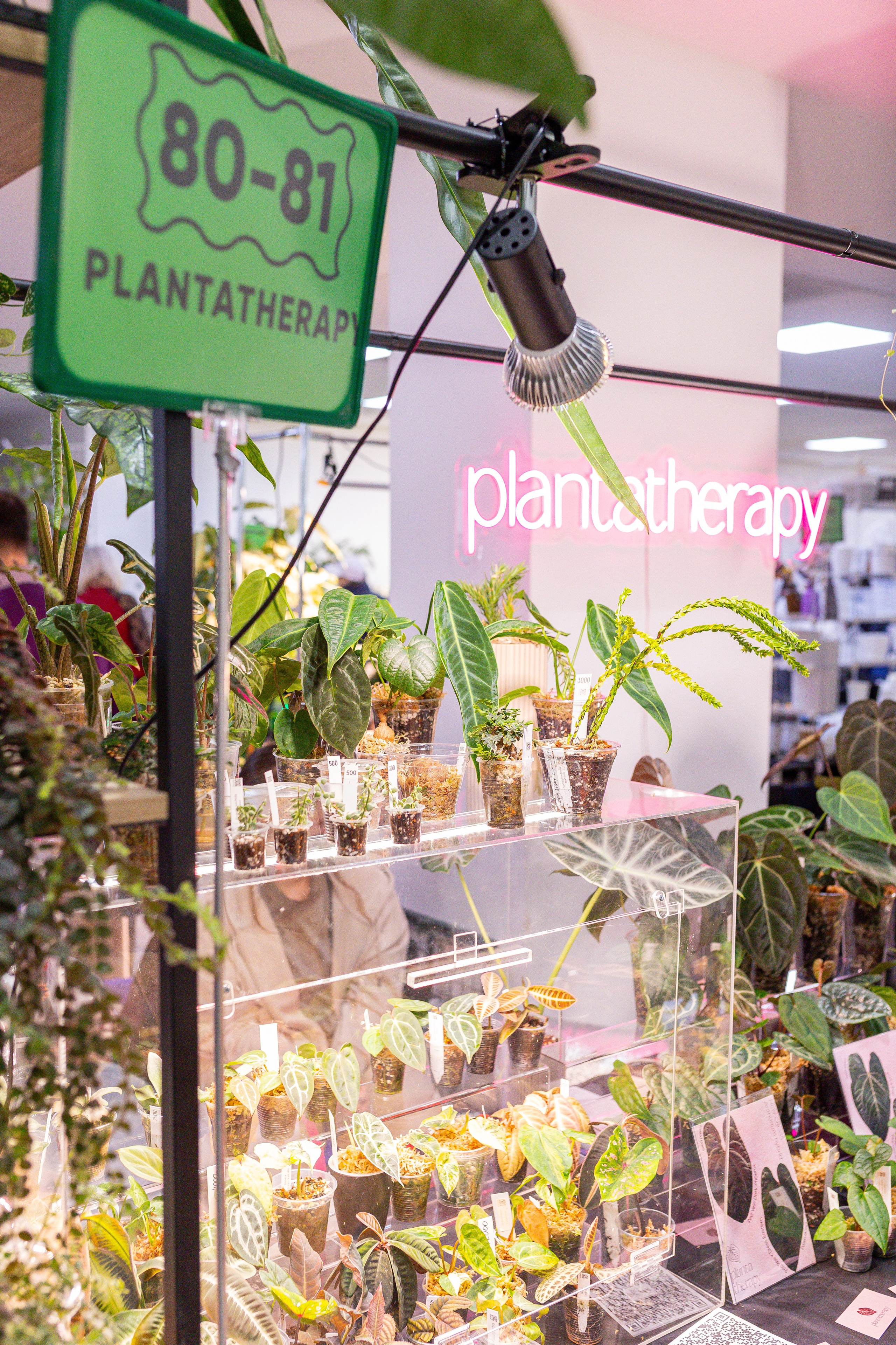 Монстериум 11–12 октября. Александра Куликова фотограф, Москва