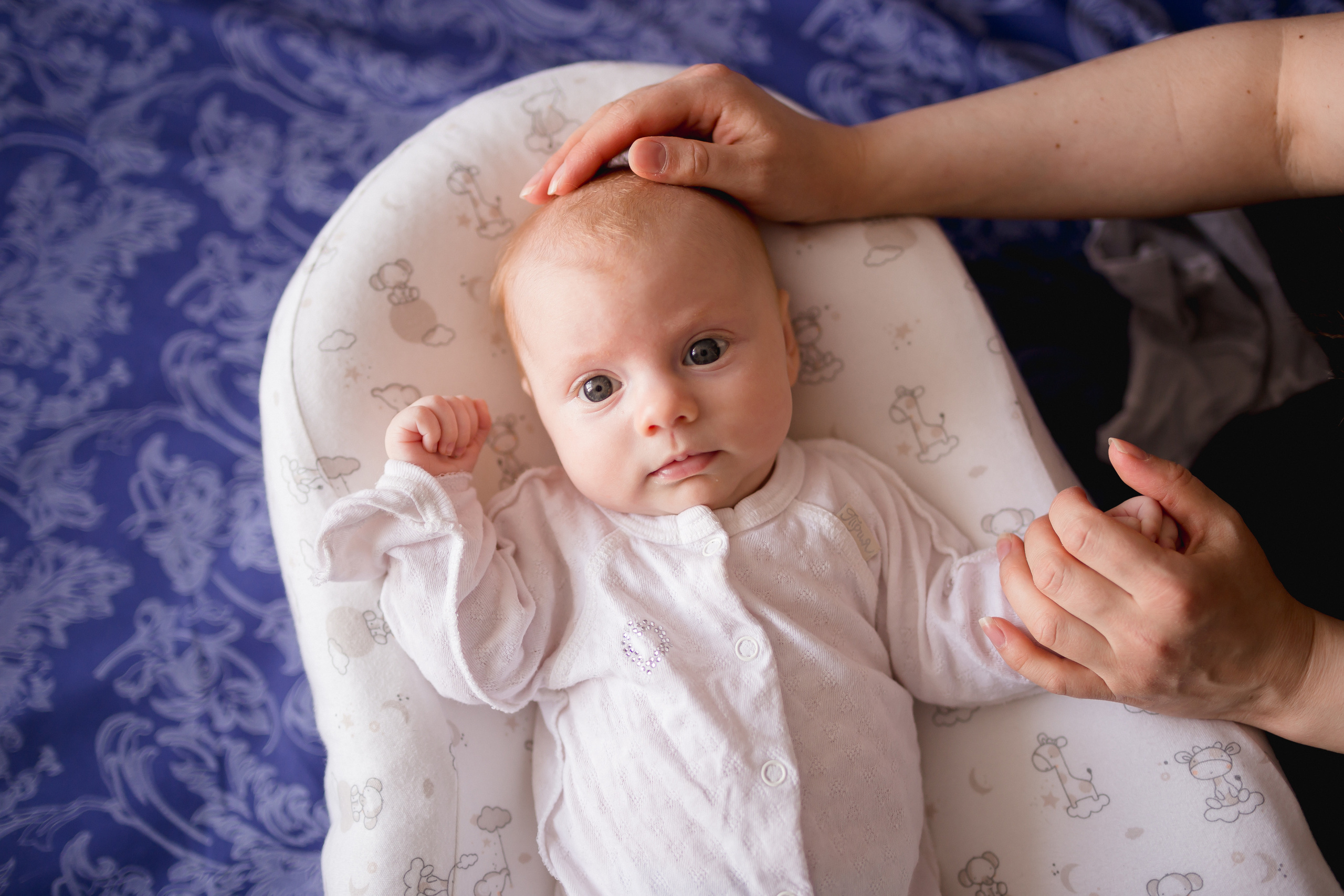 Зачем фотосессия у вас дома?. Фотограф Новорожденных и беременности г. Тюмень