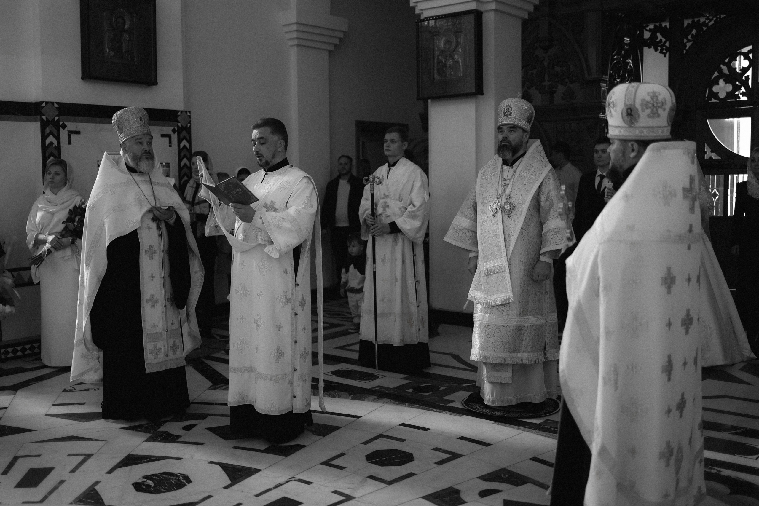 ИХТИС. Фотограф Донецк. Горловка. ДНР. Севастополь