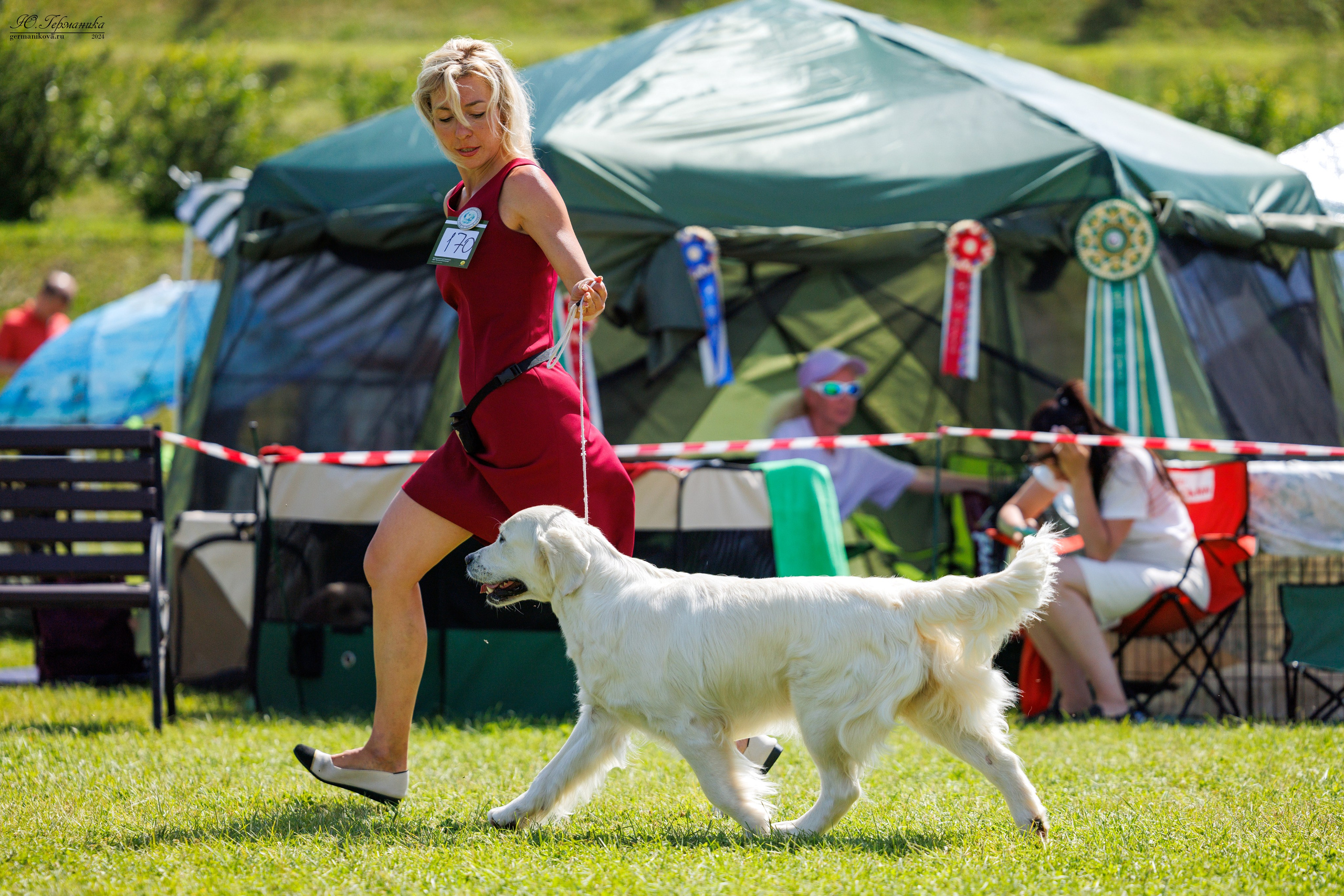 Голдены 15-16.06.2024. Фотограф-анималист Юлия Германика