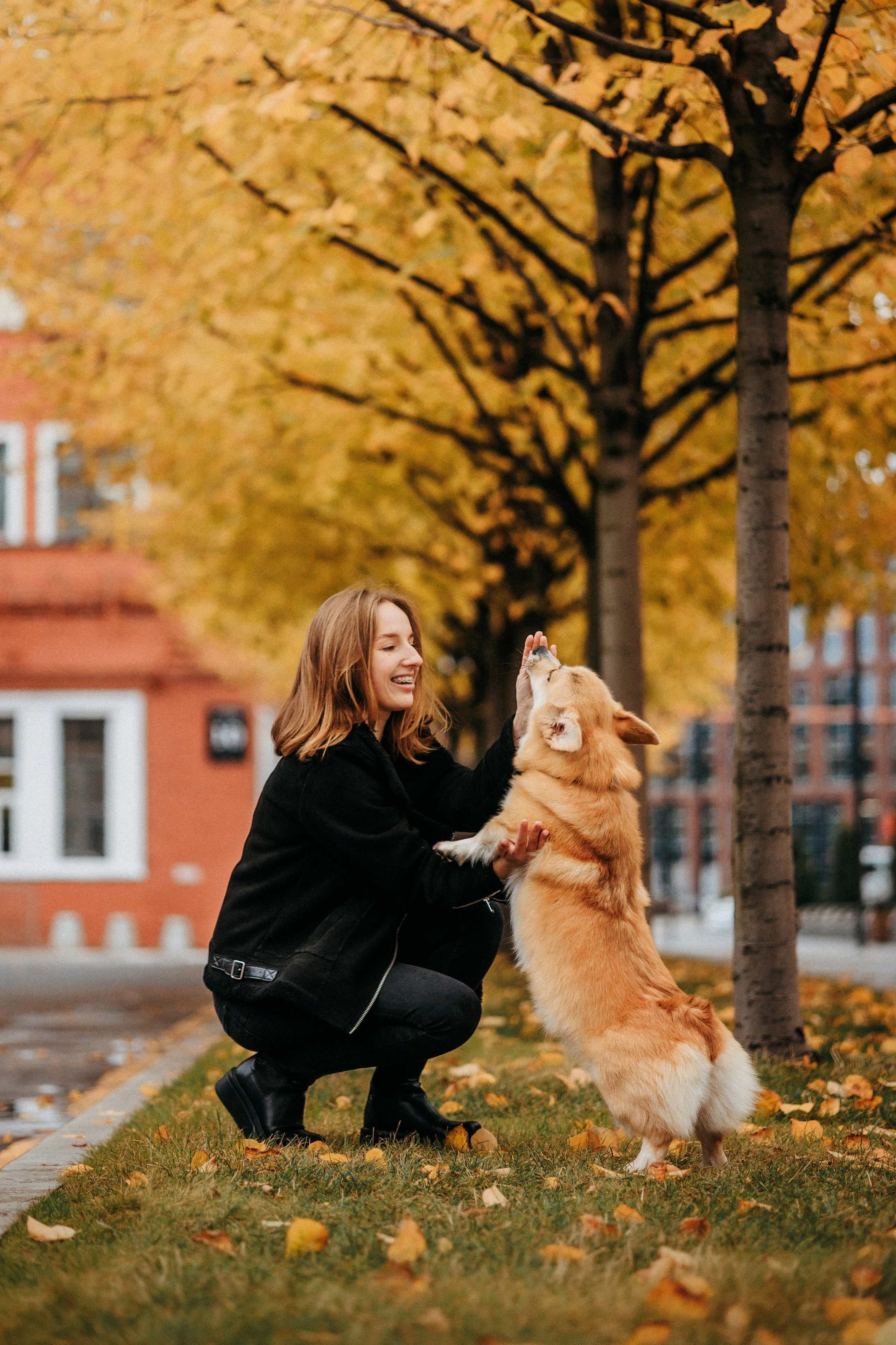 Вера, Саша и Муна. Фотограф-анималист Елена Радченко, Москва