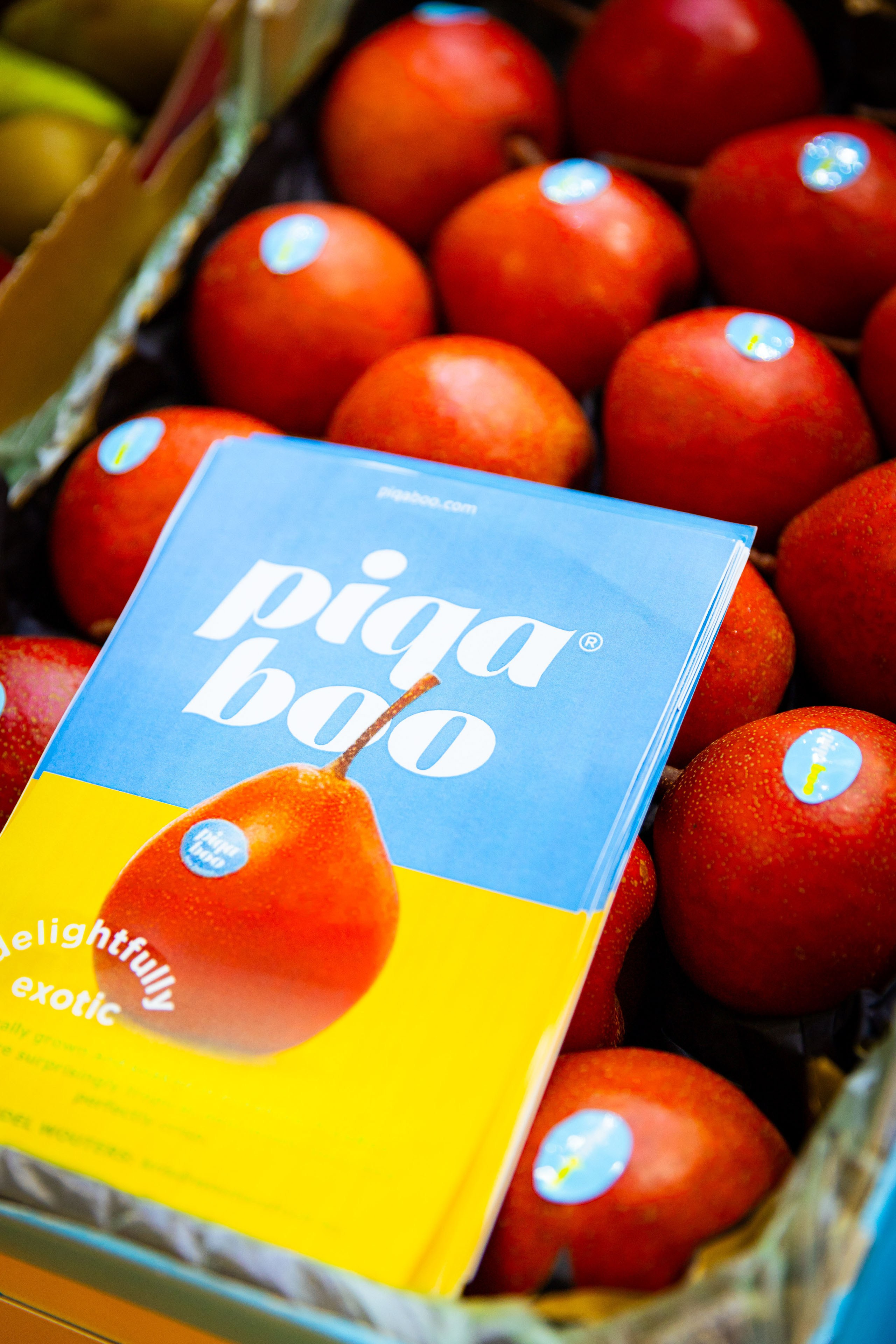 Asia Fruit Logistica [Гонконг 4–6 сентября 2024 г.]. Фотограф Виноградов Константин