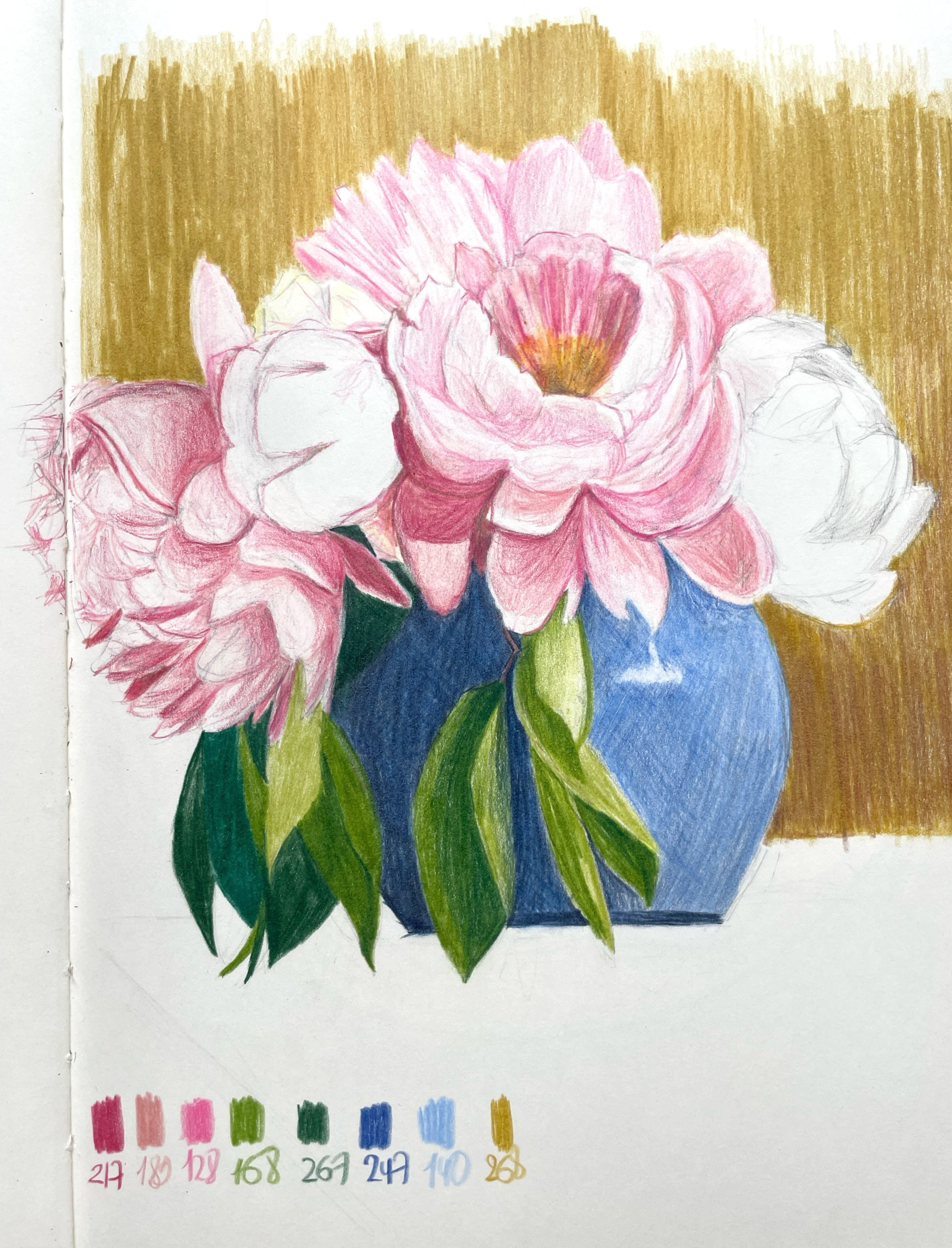 Карандаши. Аня Степанова