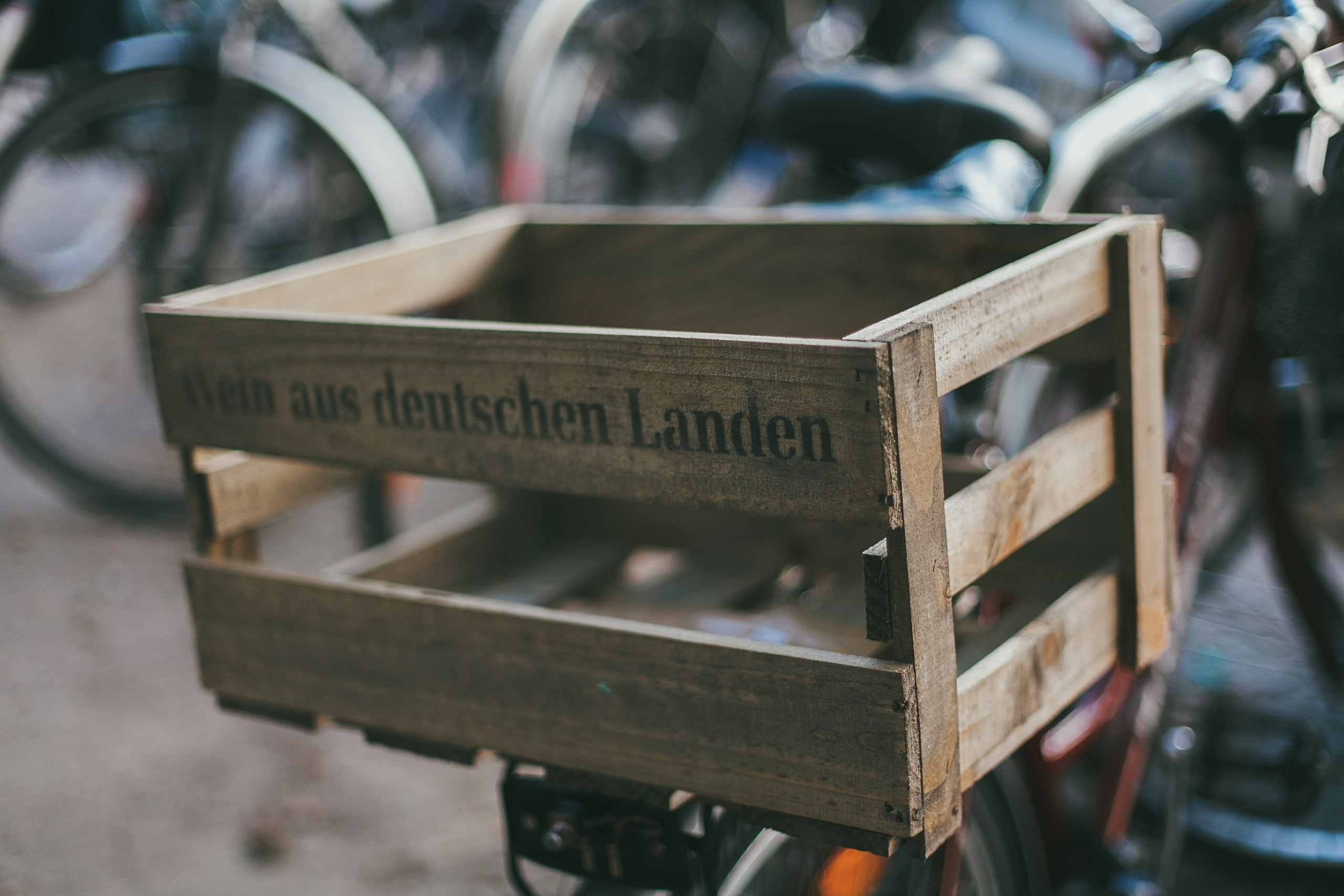 Берлин. Аня Степанова