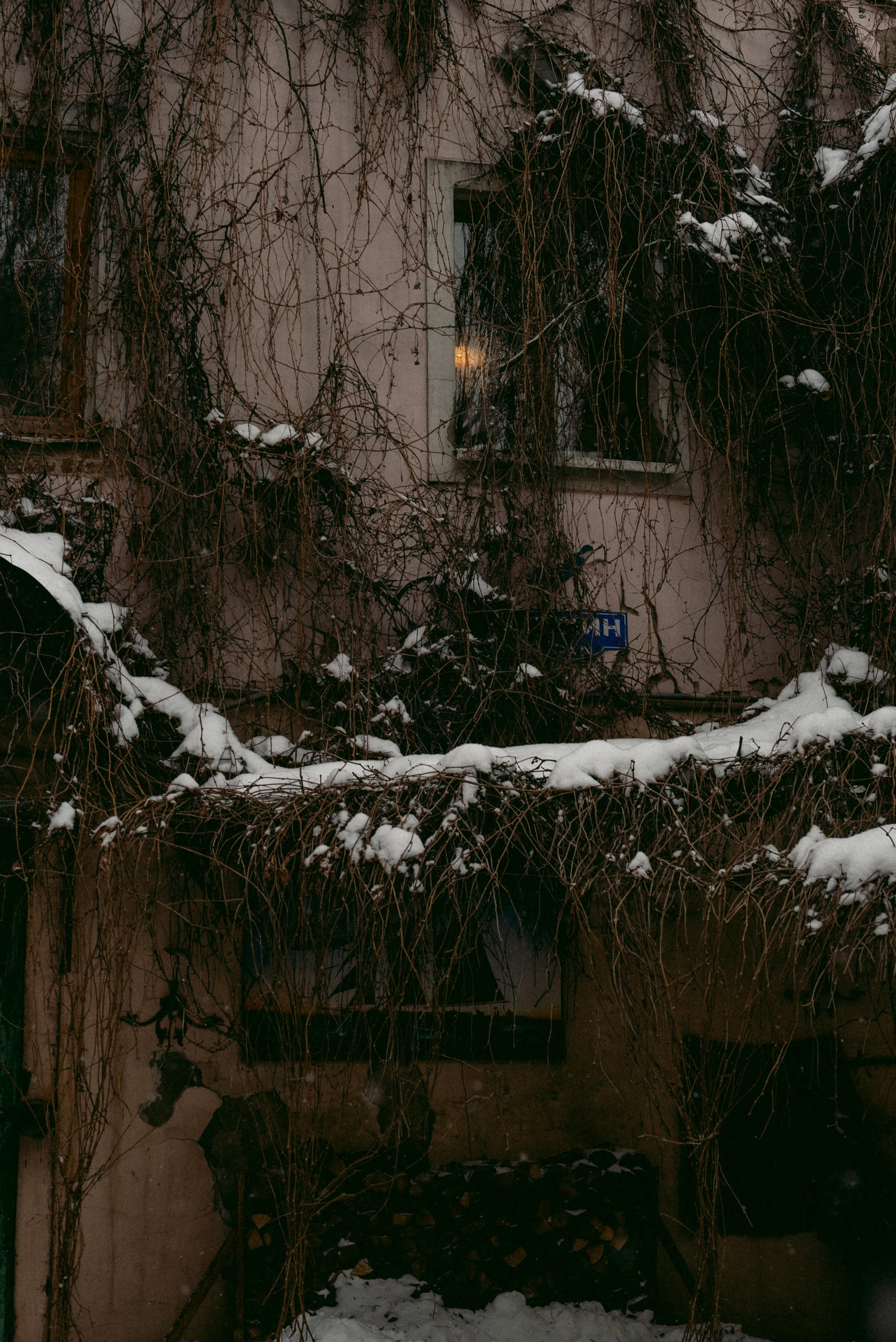 Yuri Rost. Фотограф Евгения Добротворская