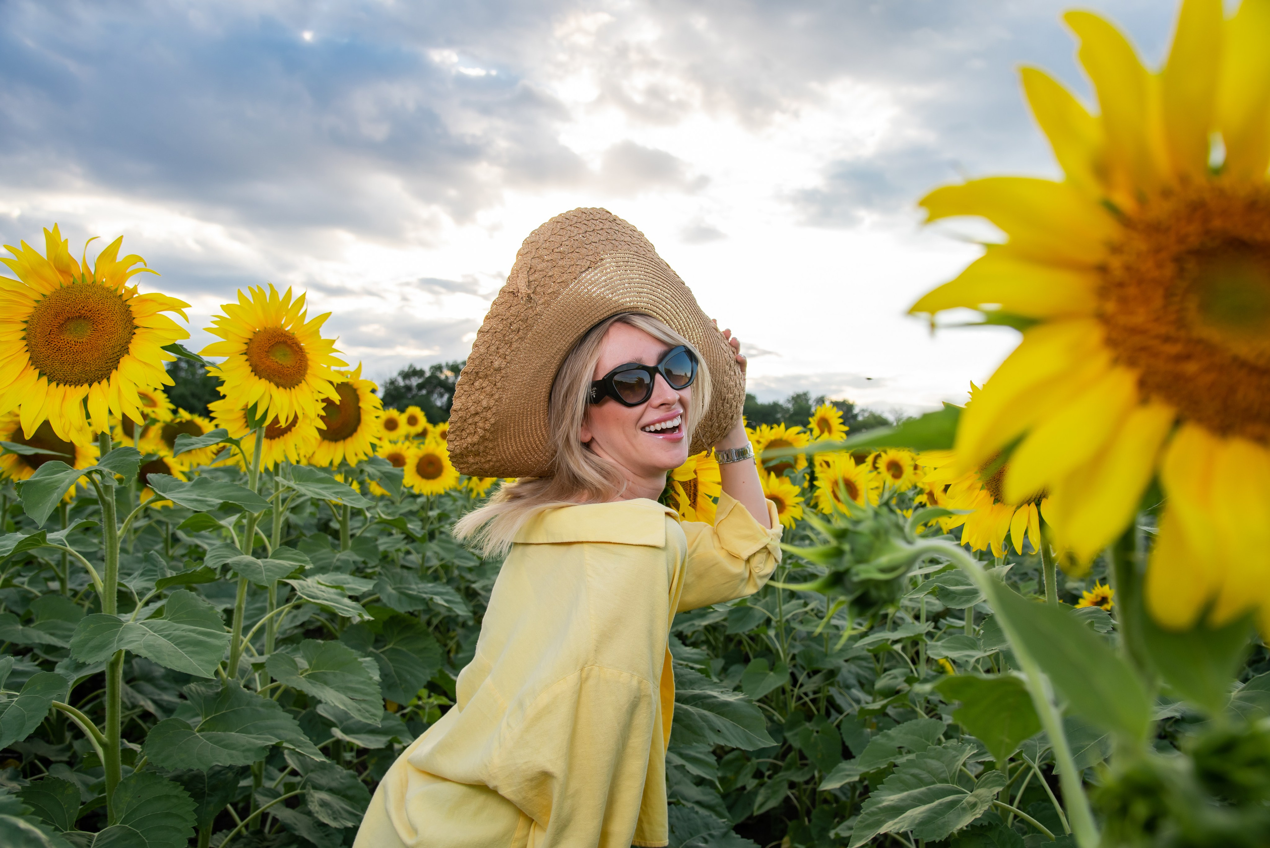 Подсолнух. Фотограф Галина Нестерова