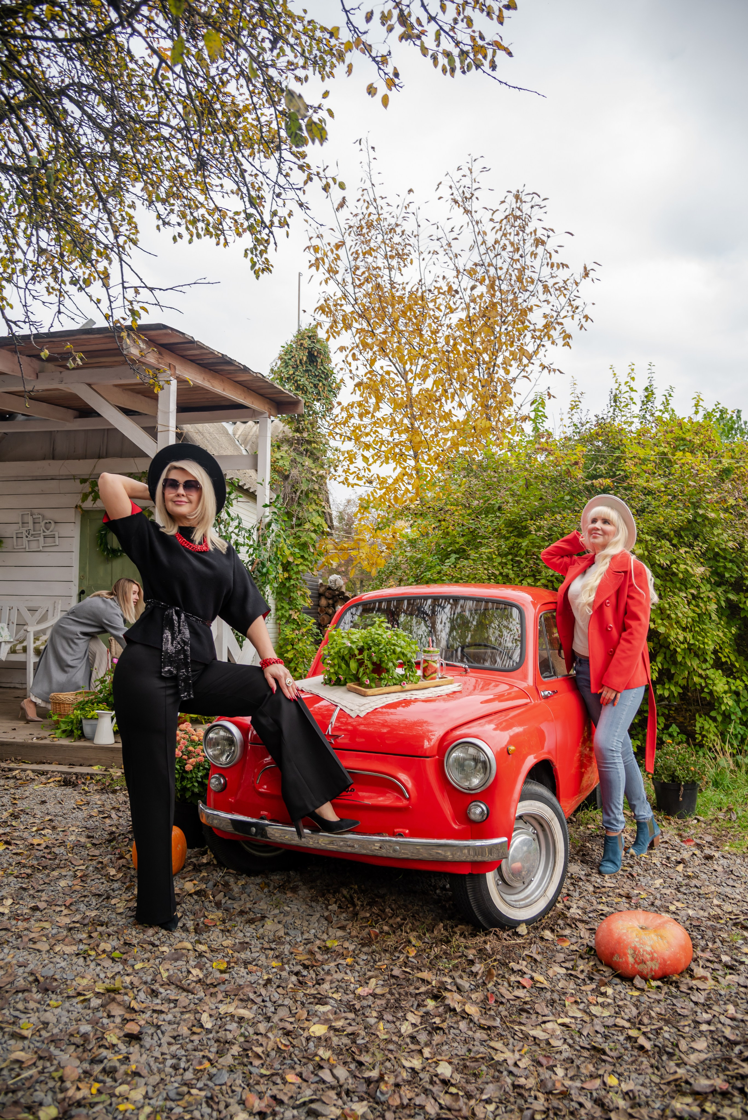 Авакадо. Фотограф Галина Нестерова