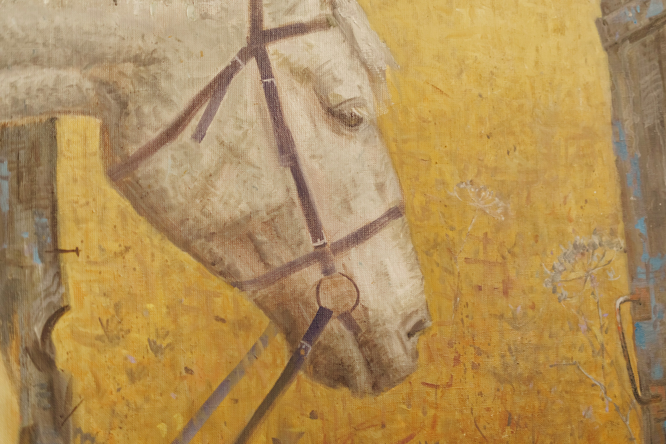 Выставка «Скотъ». Фотограф в Санкт-Петербурге Ибрагимова Алина