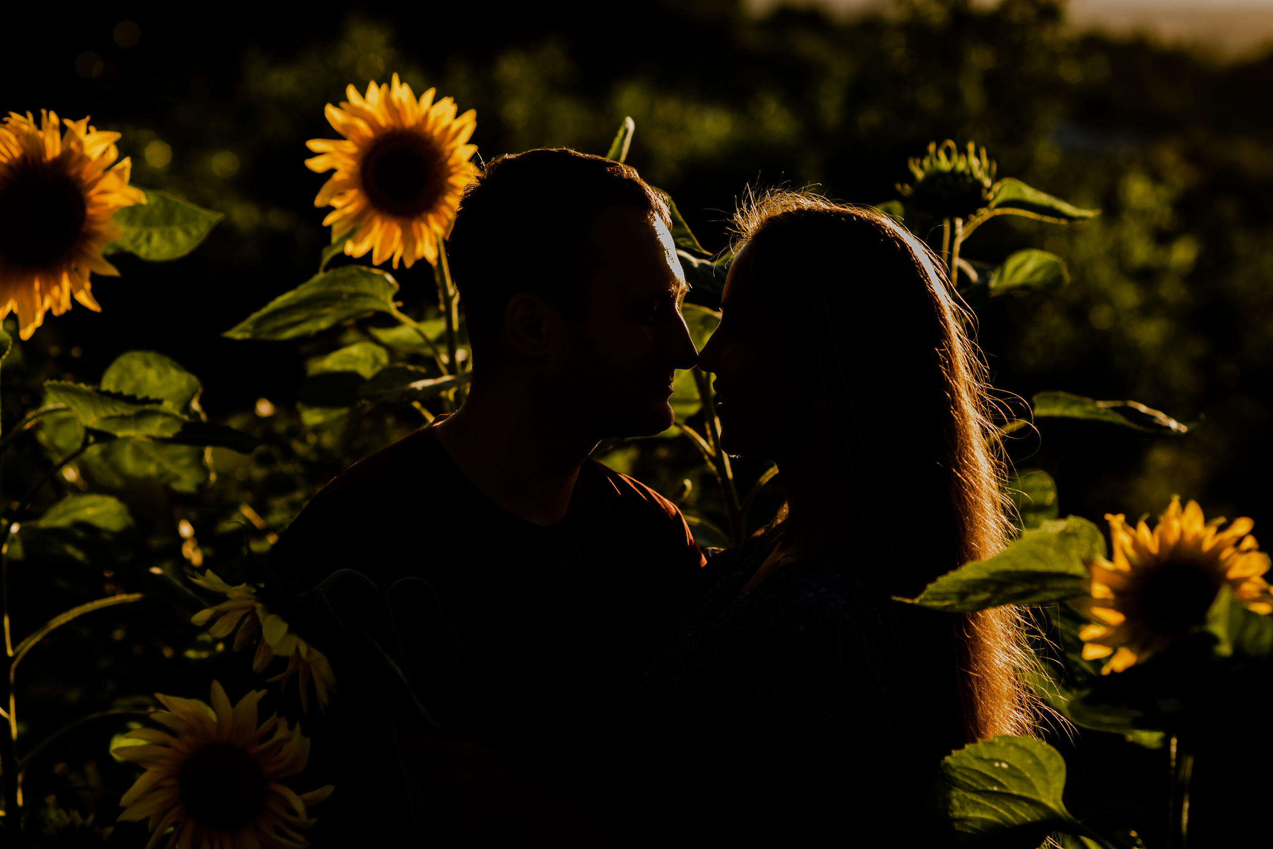 Индивидуальные фотосессии. Главная