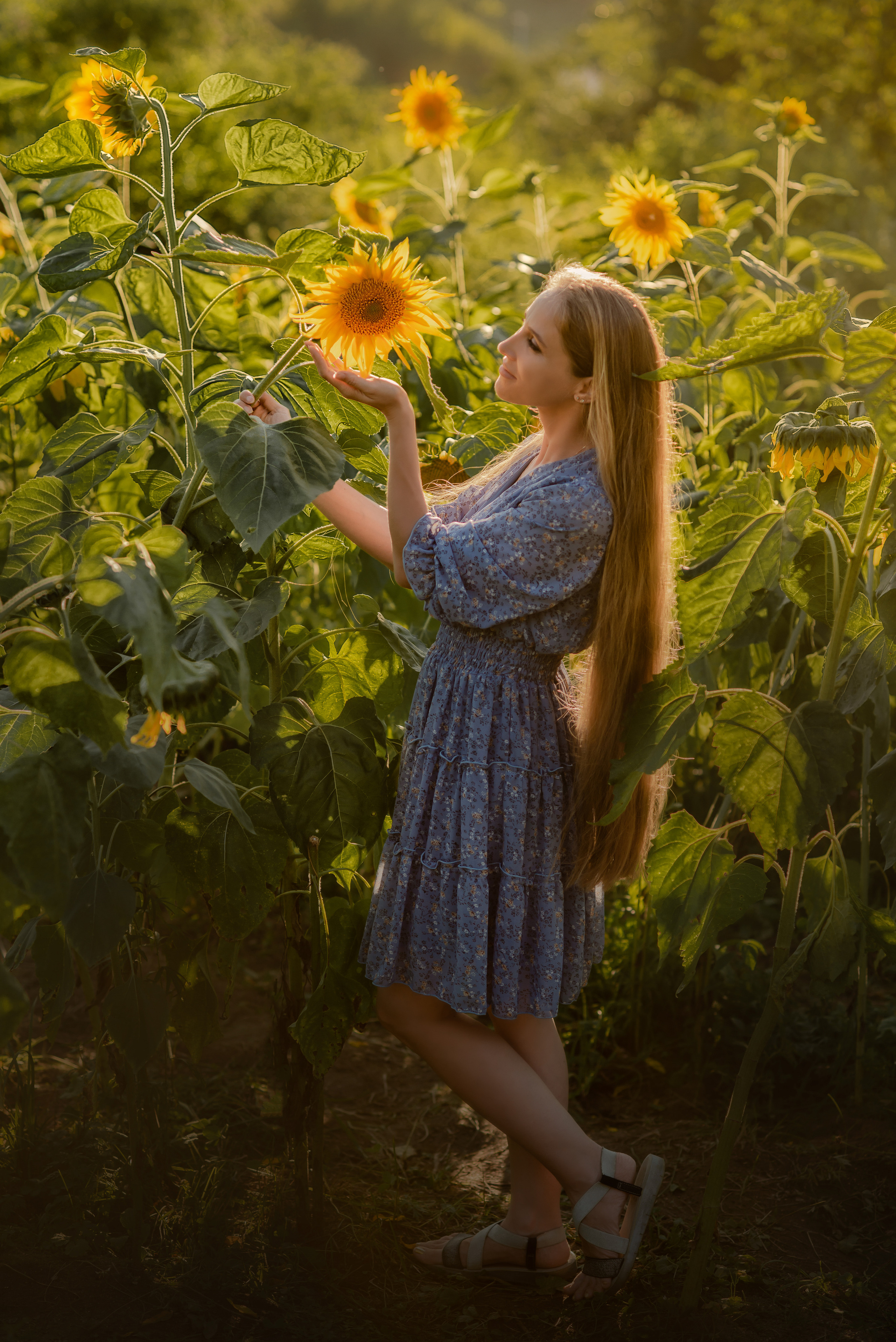 Индивидуальные фотосессии. Главная