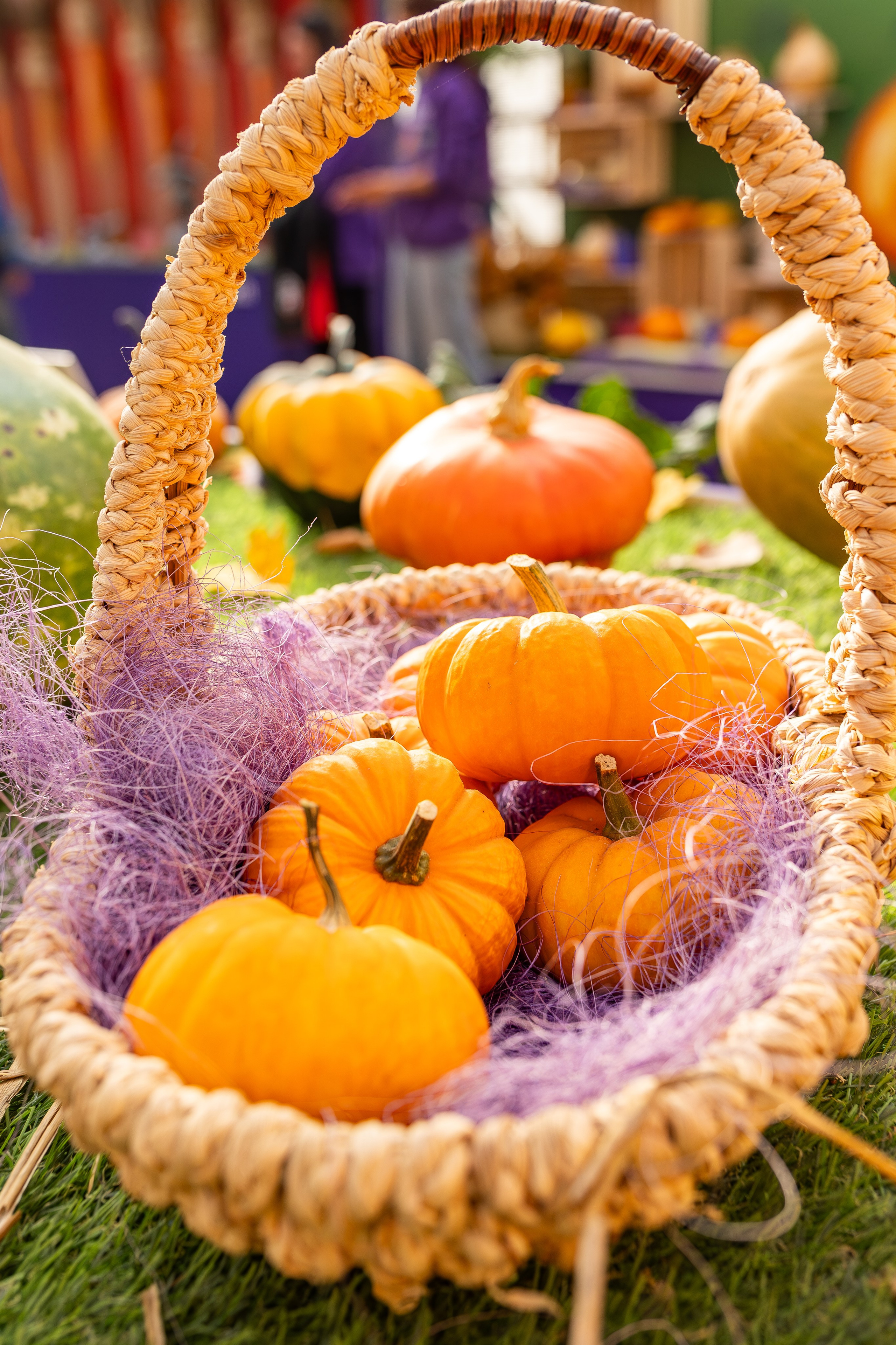 Овощи-гиганты. Александра Куликова фотограф, Москва