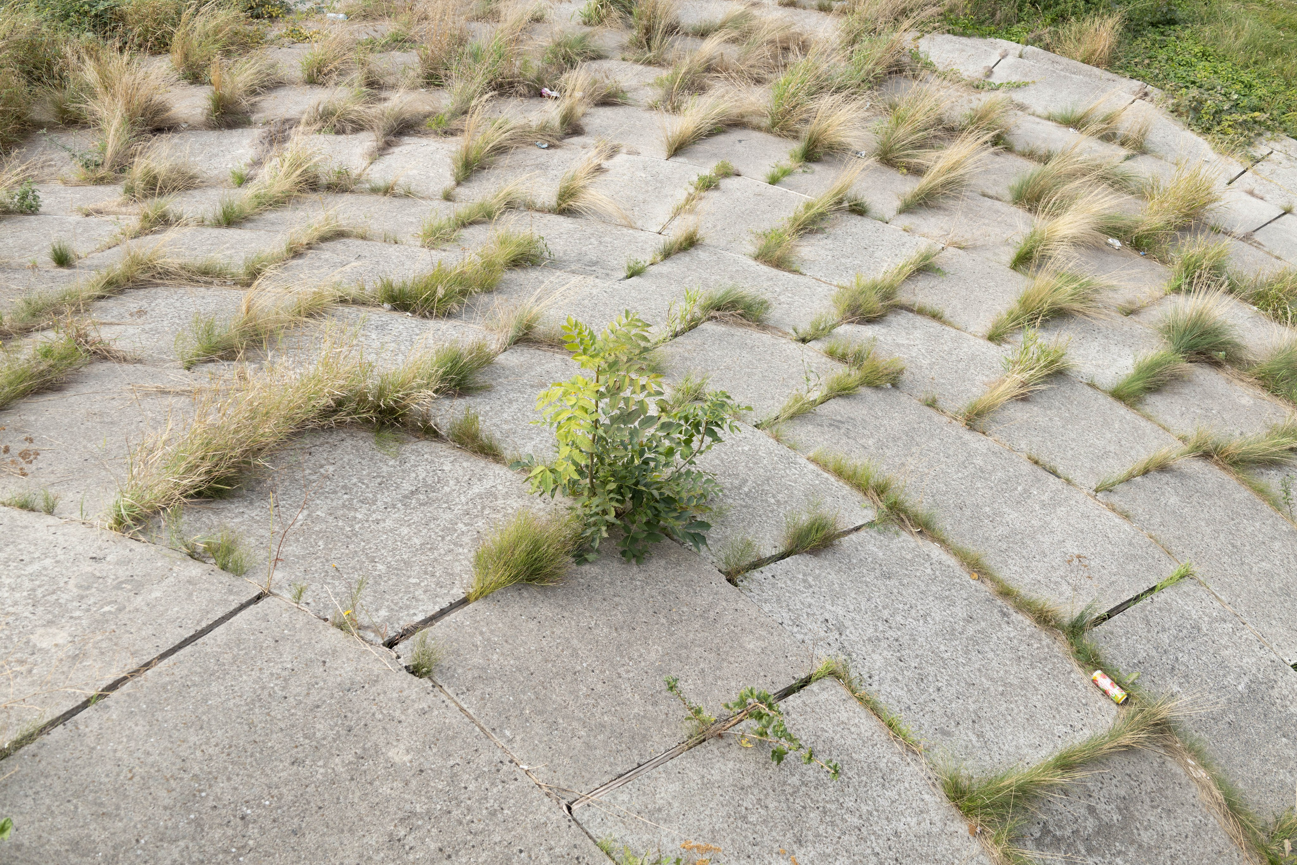 Около меня. Documentary photographer Anton Zdanovich