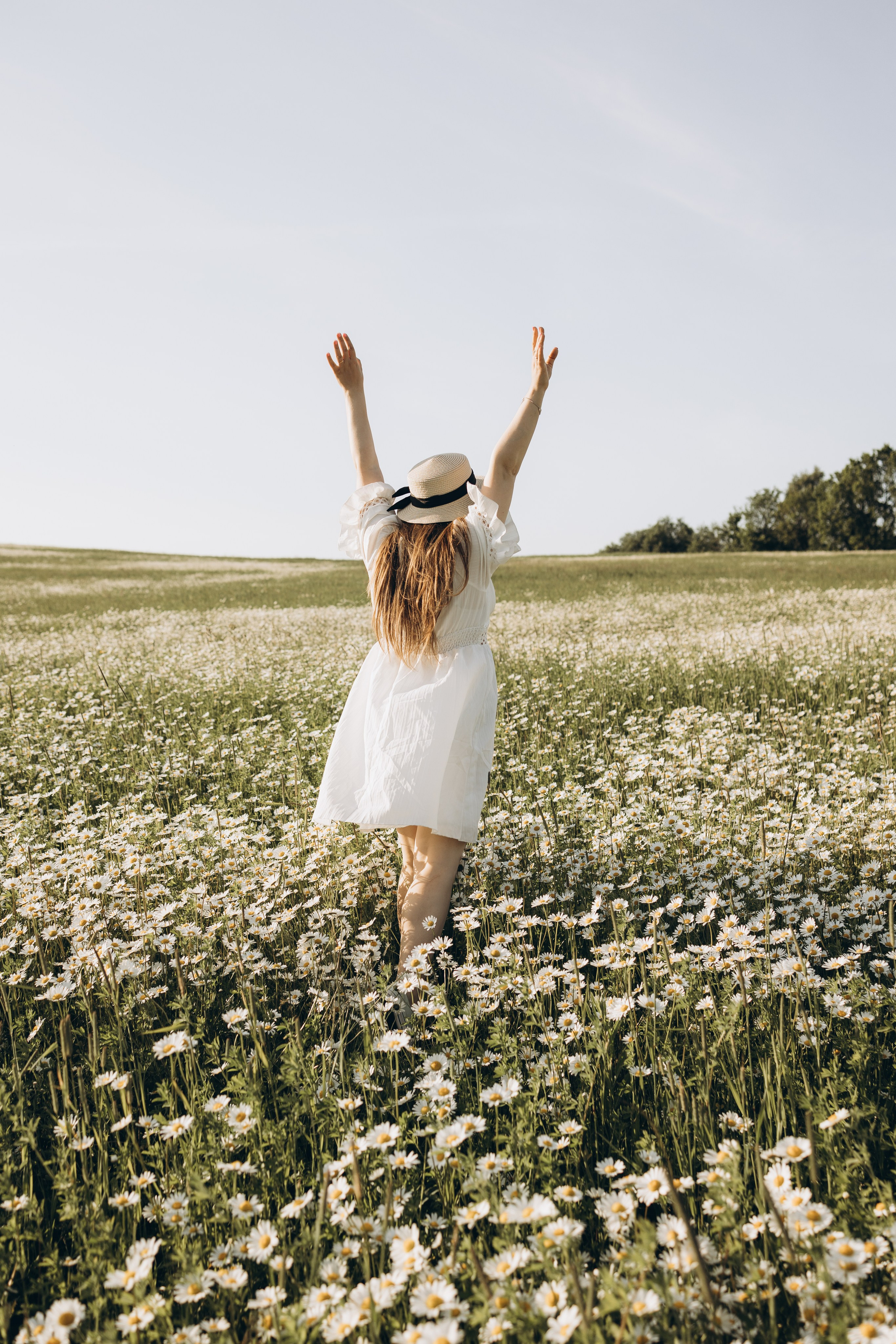 Маша и ромашки. Семейный фотограф в Москве Виктория Ястребинская