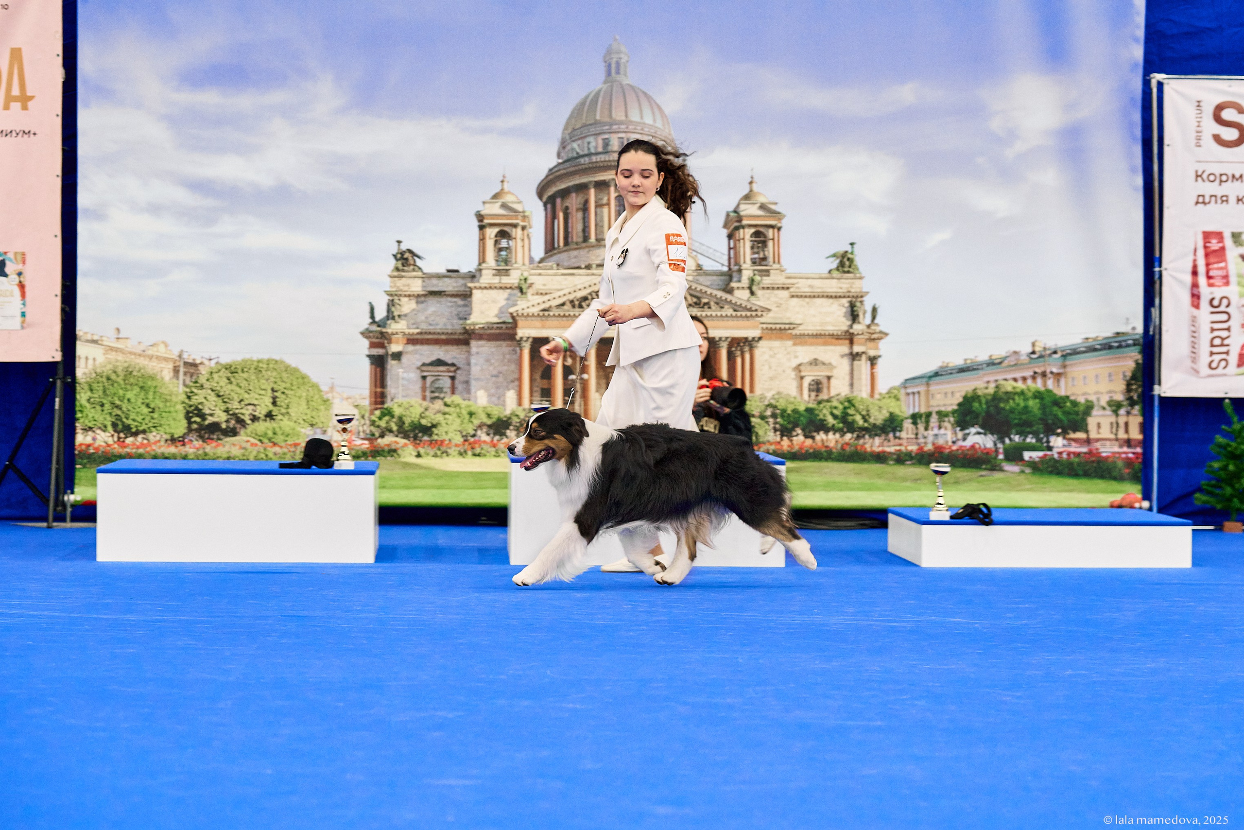 22-23 FEB 2025 | NATIONAL DOG SHOW «BALTIC TRIUMPH-2025»