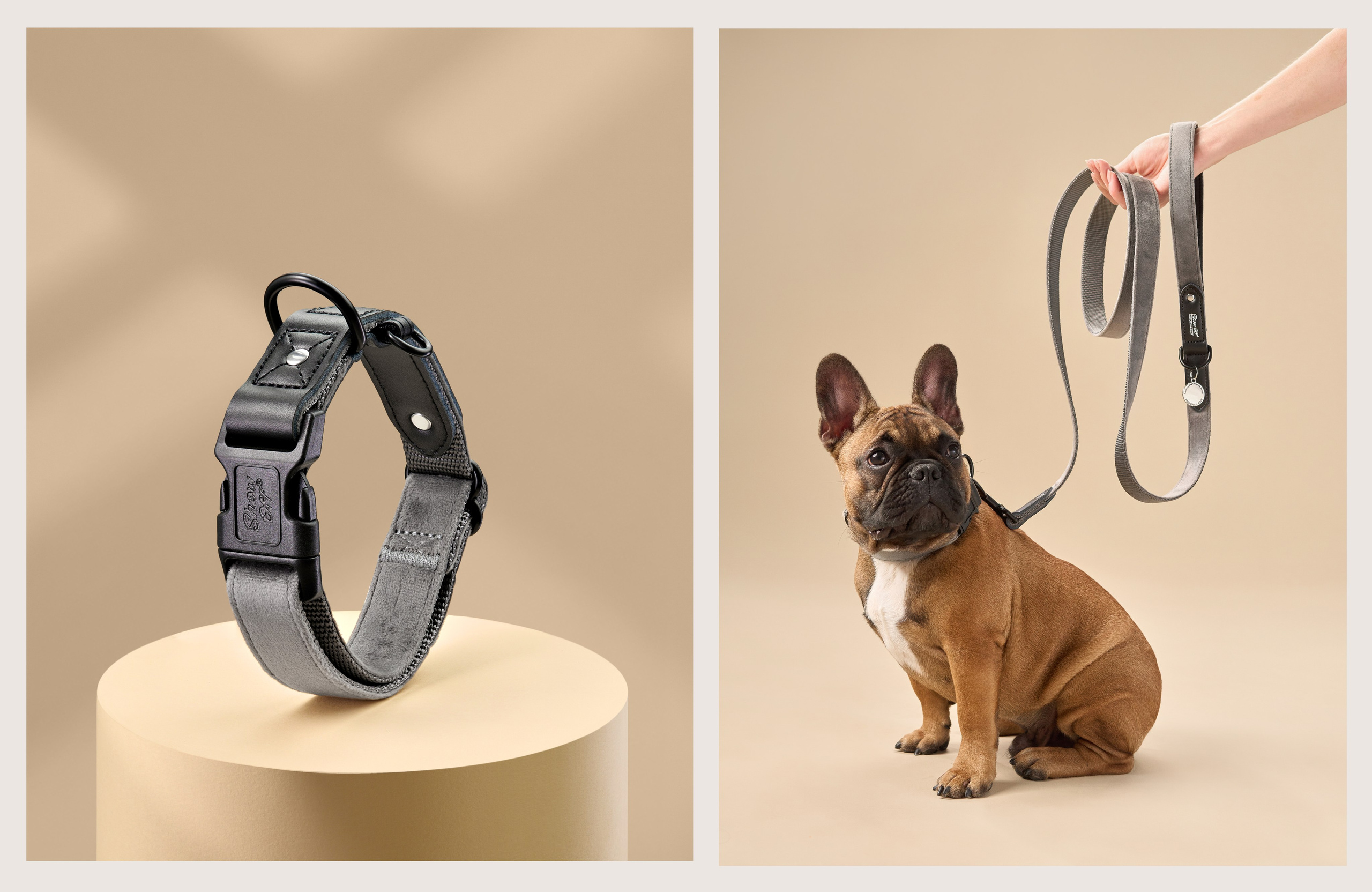 Advertising shooting with animals. Pets in advertising. Dog photographer Averianova Anna — Art photography of dogs