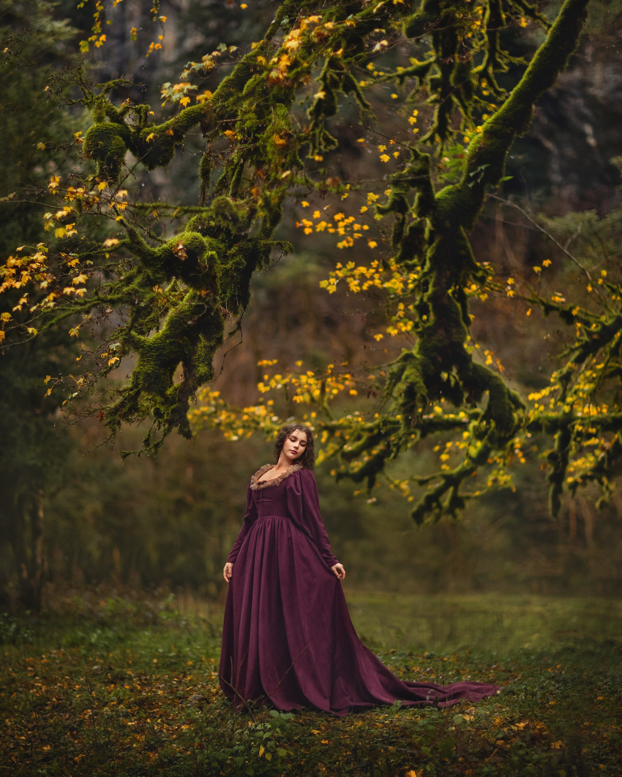 Самшитовый лес. Детский и семейный фотограф Елена Михайлова в Москве