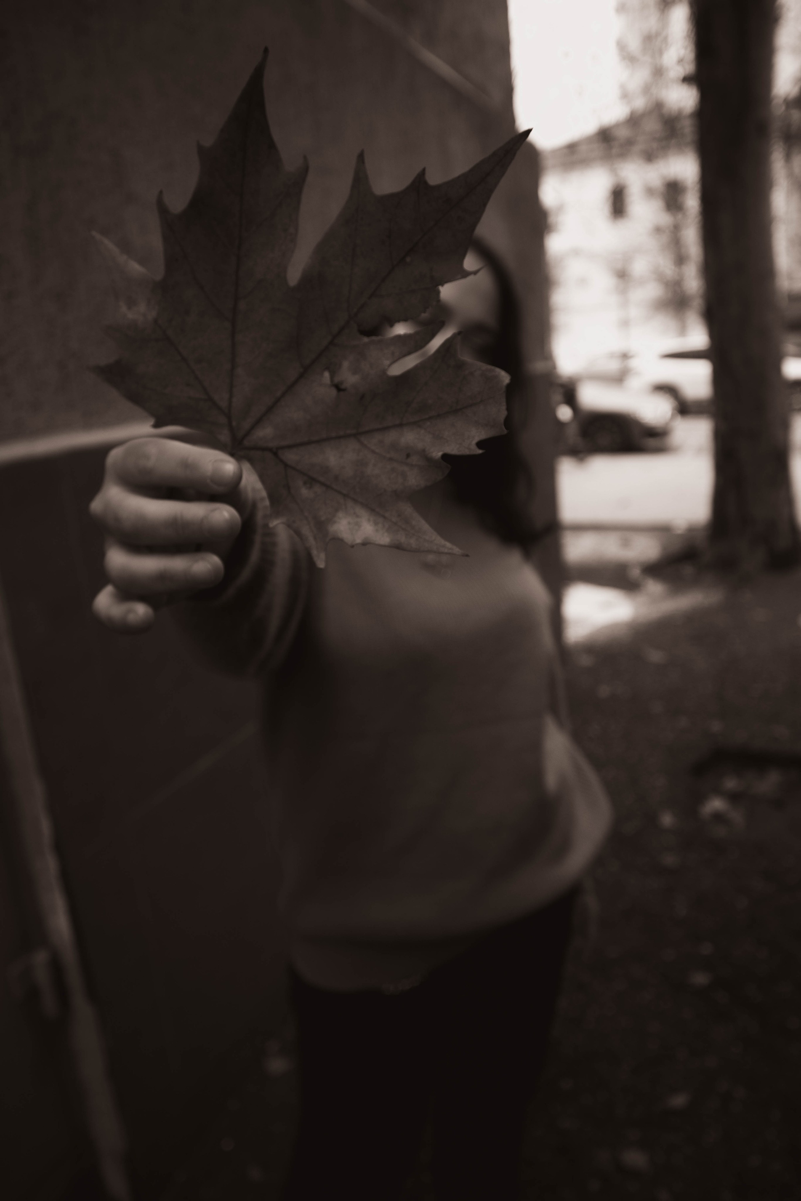 «Городская грация: осенний вальс». Уличный фотограф Города N