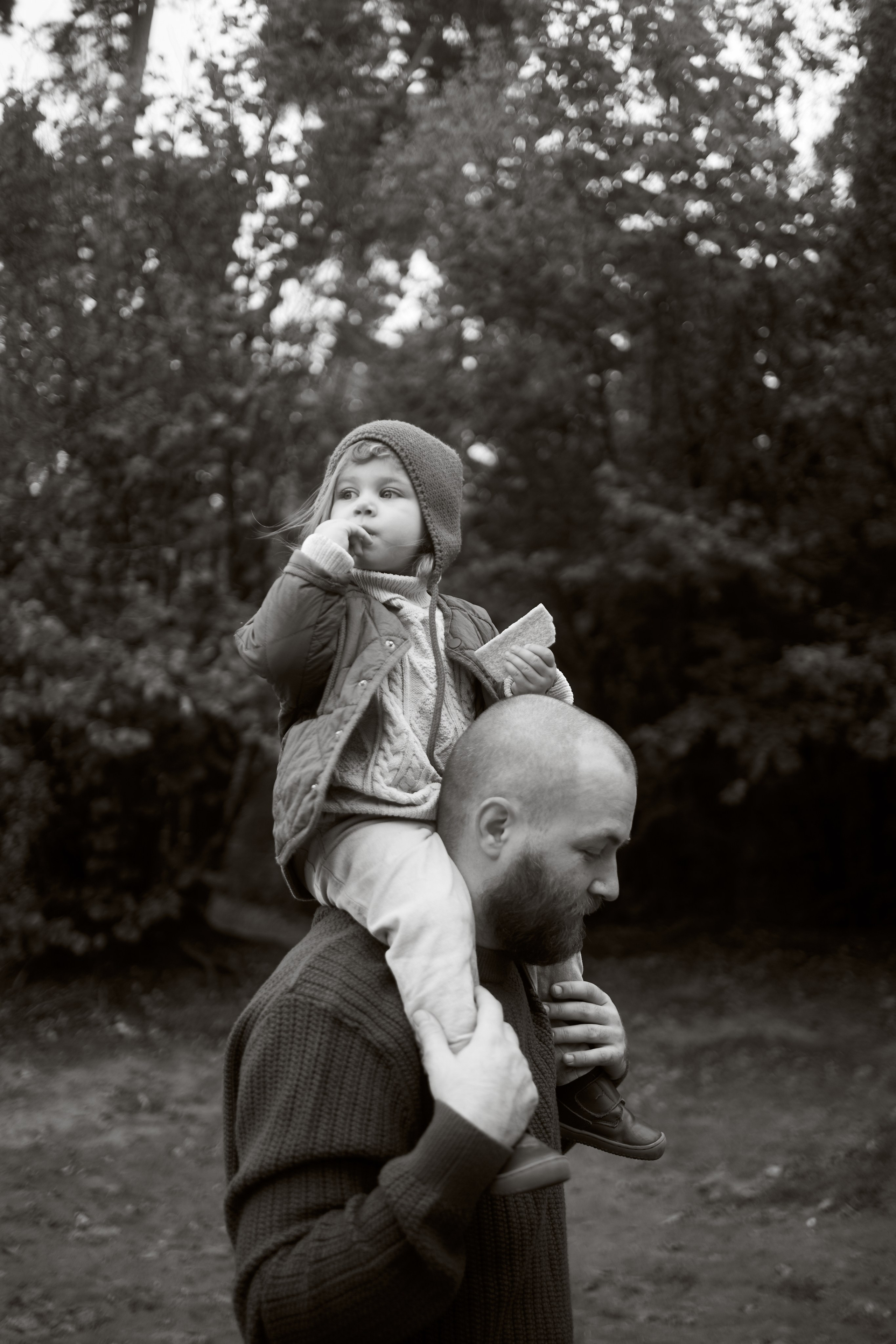 Печенье в песке. Фотограф анималист Москва Дарья