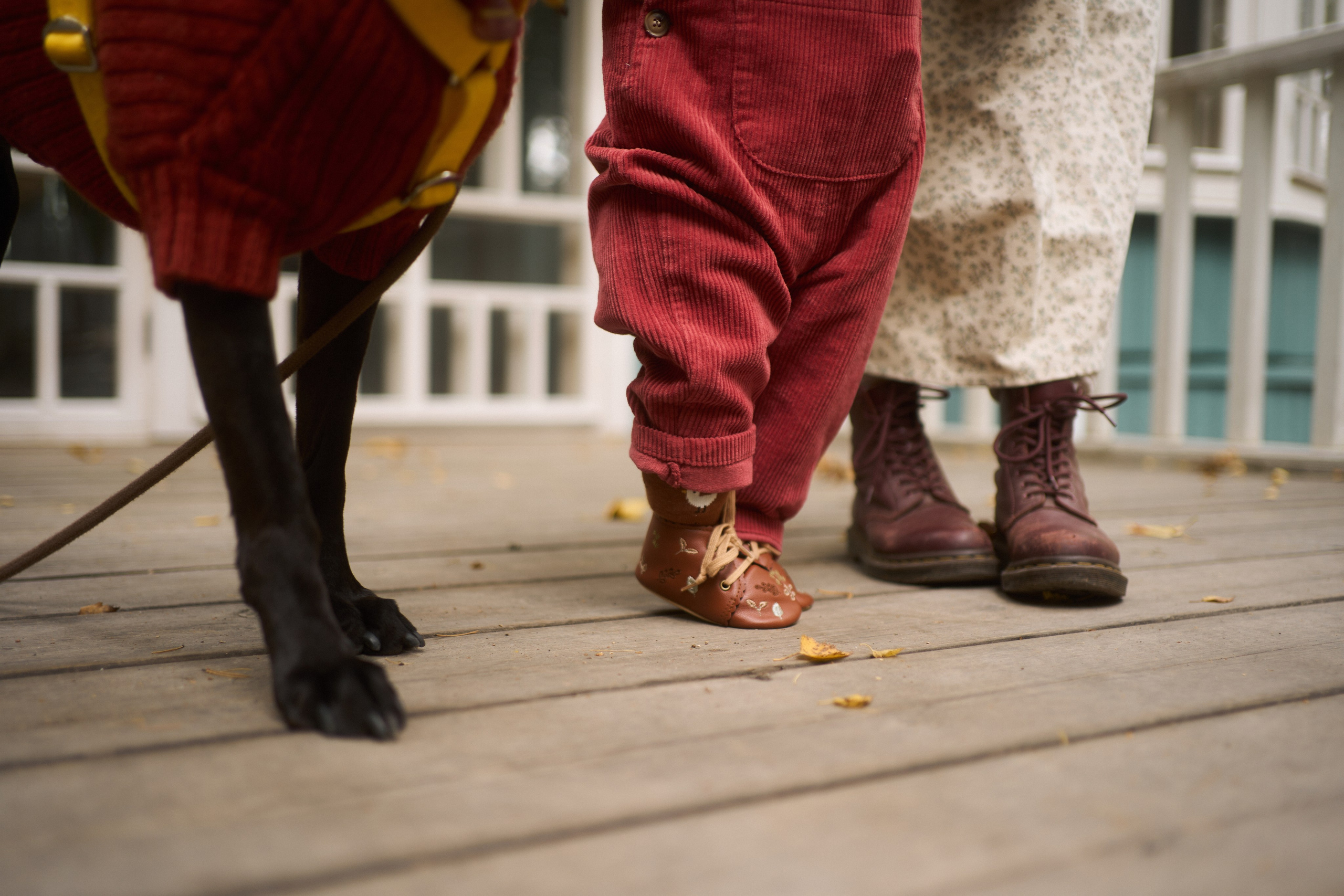 Первые шаги. Фотограф анималист Москва Дарья