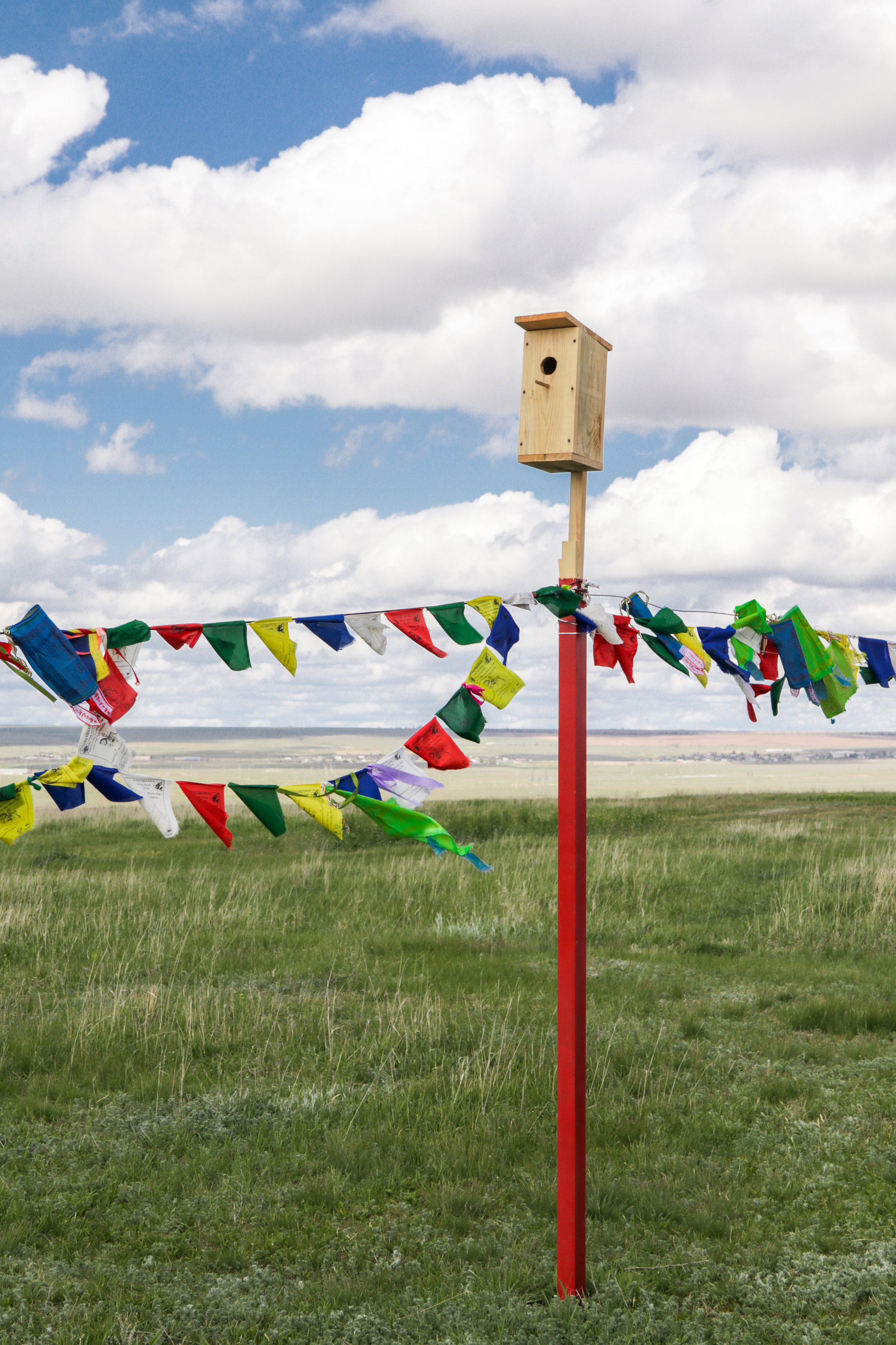 Калмыкия и Баскунчак. Наталия Фролова. Фотограф. Москва