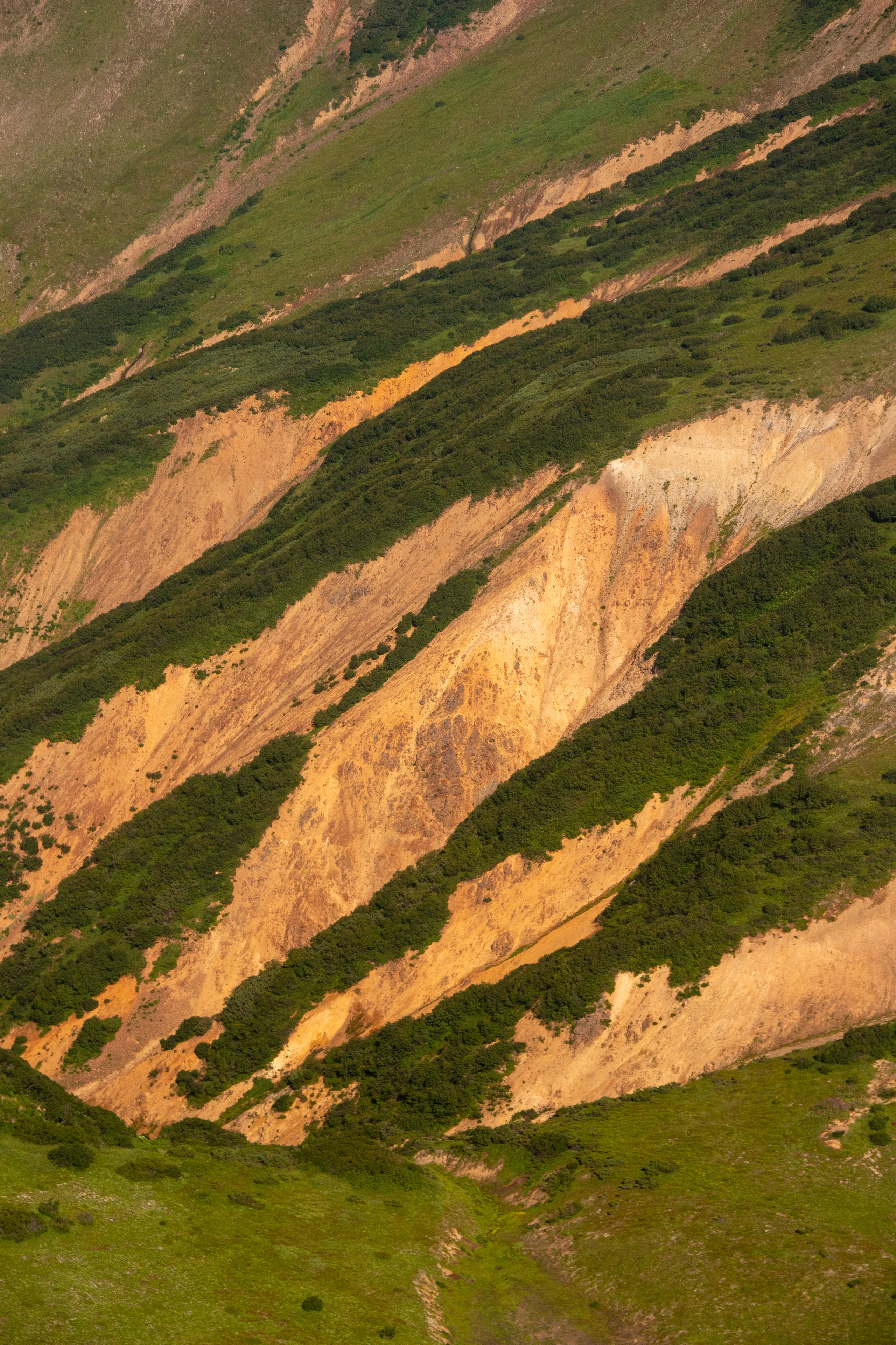 Камчатка. Наталия Фролова. Фотограф. Москва