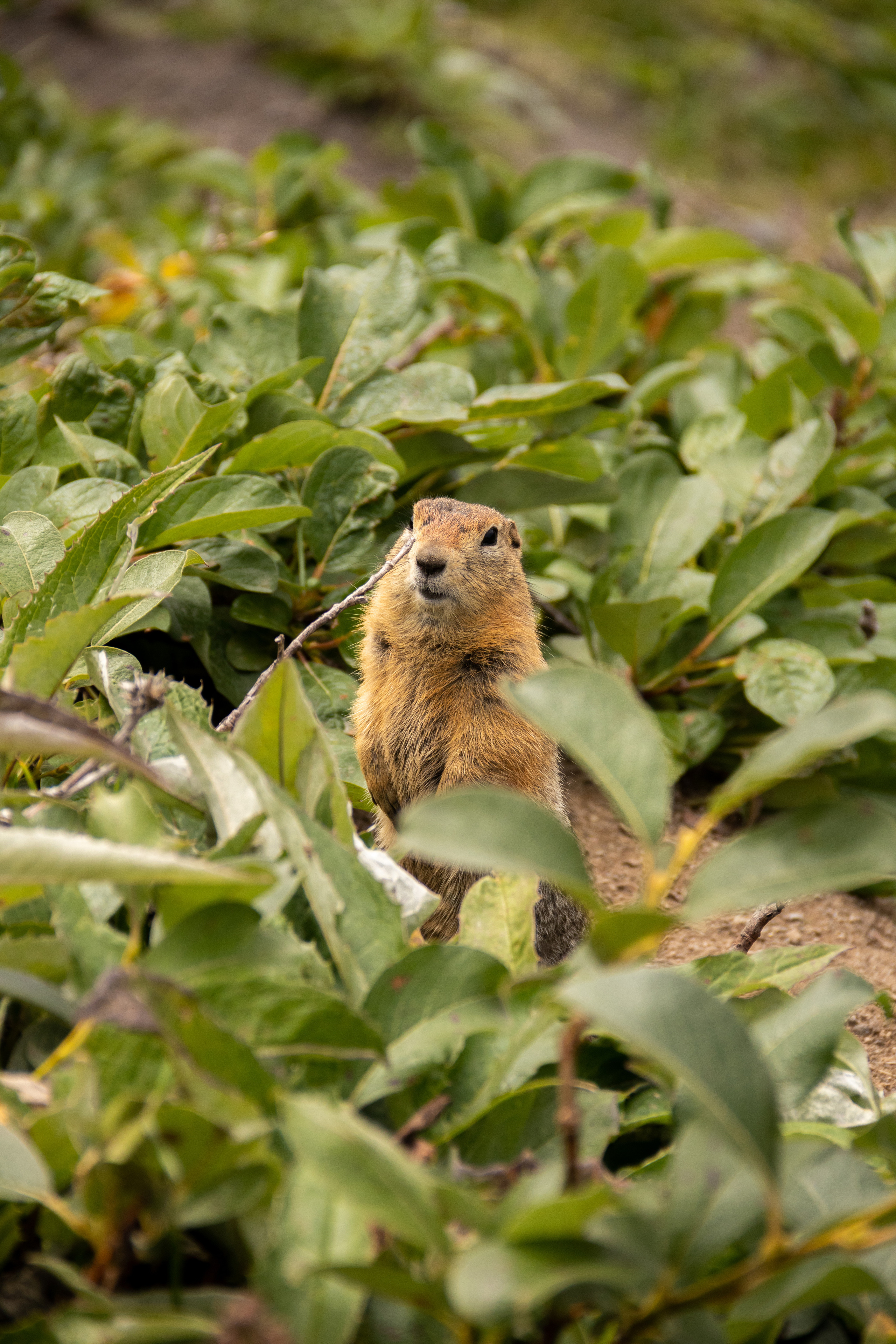 Камчатка. Наталия Фролова. Фотограф. Москва
