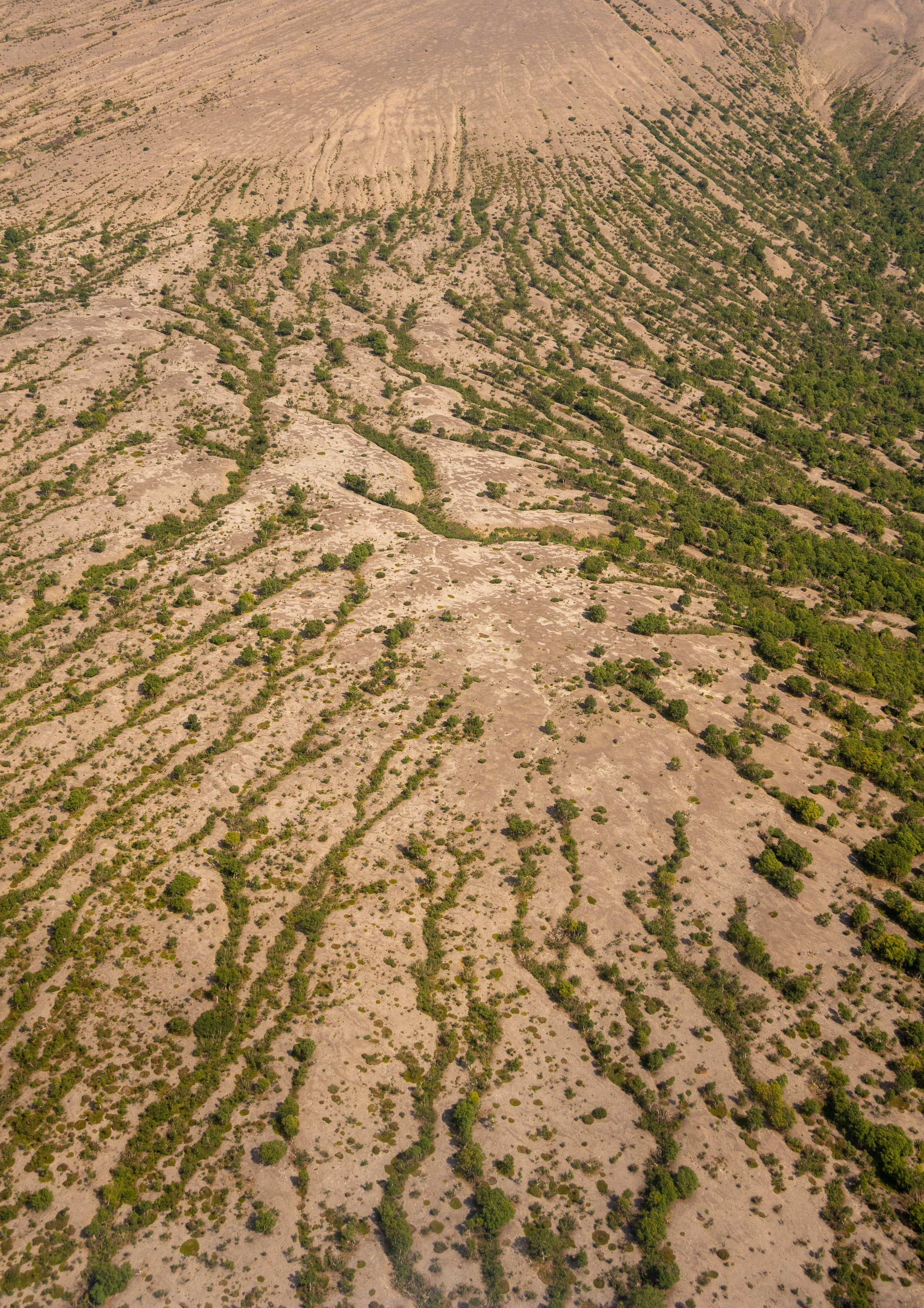 Камчатка. Наталия Фролова. Фотограф. Москва