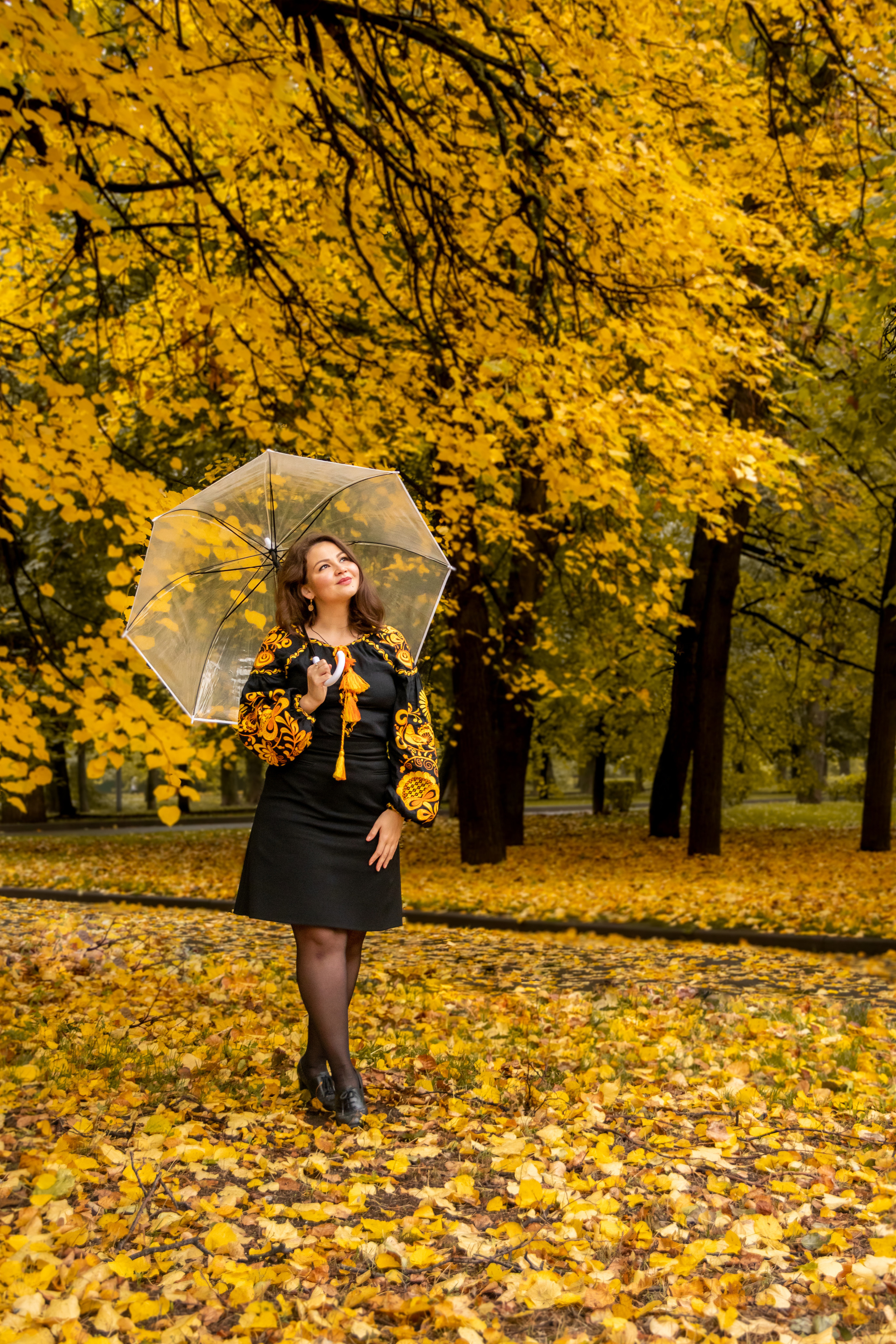 Золотая осень. Наталия Фролова. Фотограф. Москва