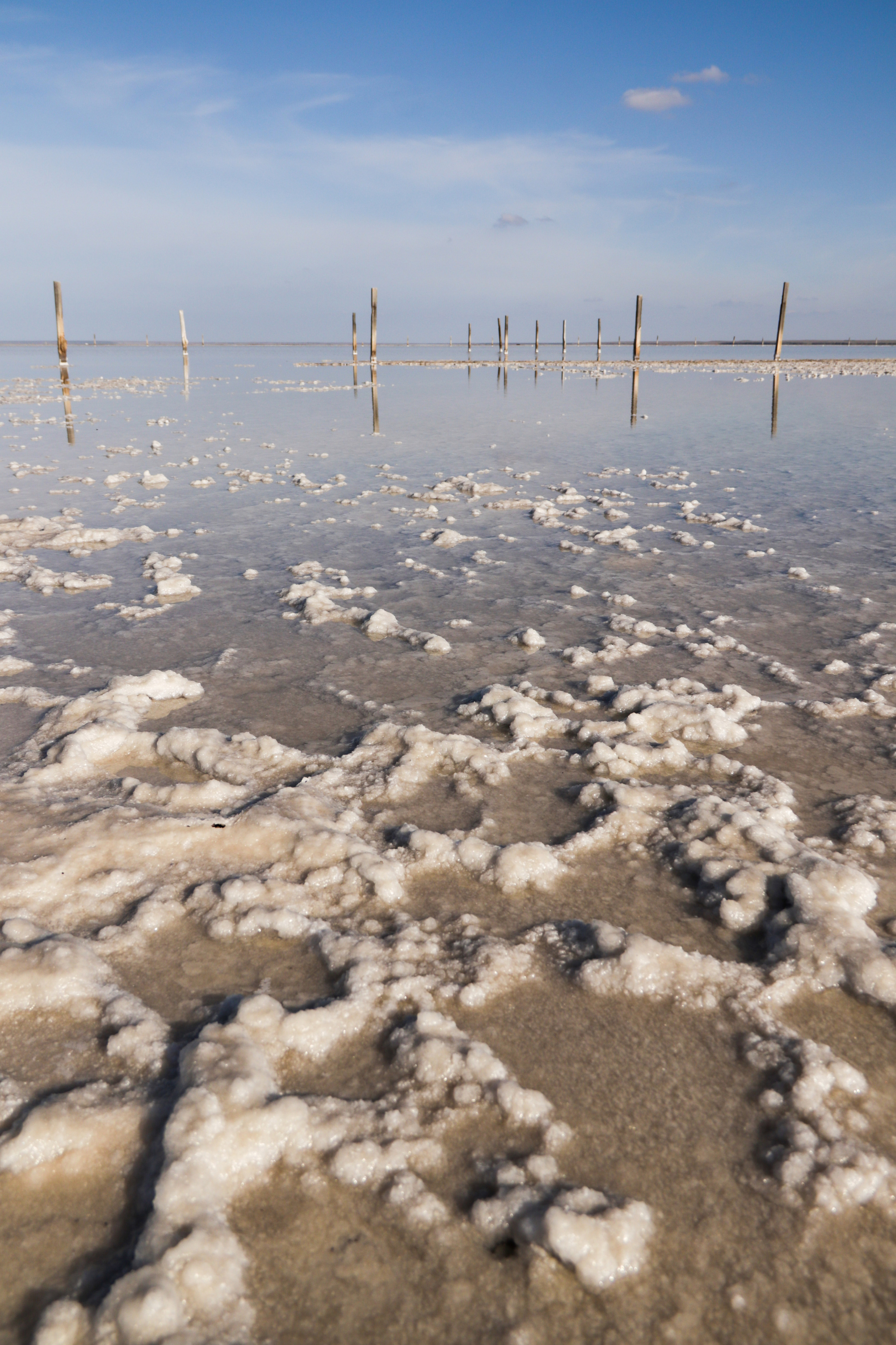 Калмыкия и Баскунчак. Наталия Фролова. Фотограф. Москва