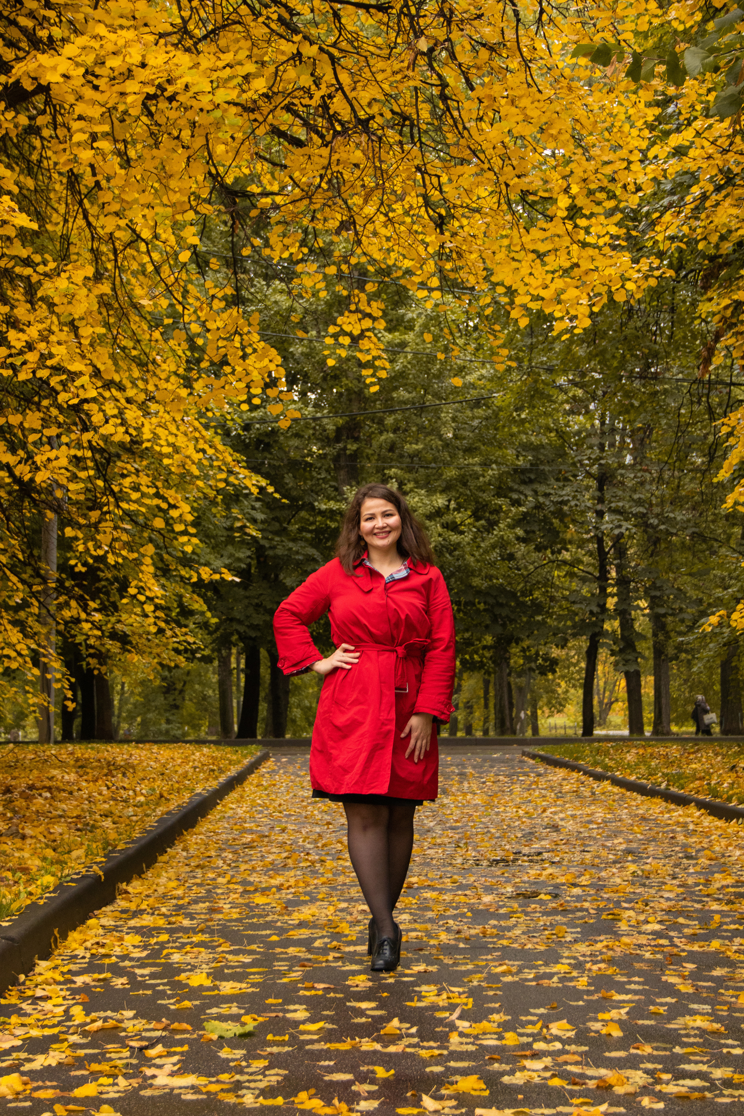 Золотая осень. Наталия Фролова. Фотограф. Москва