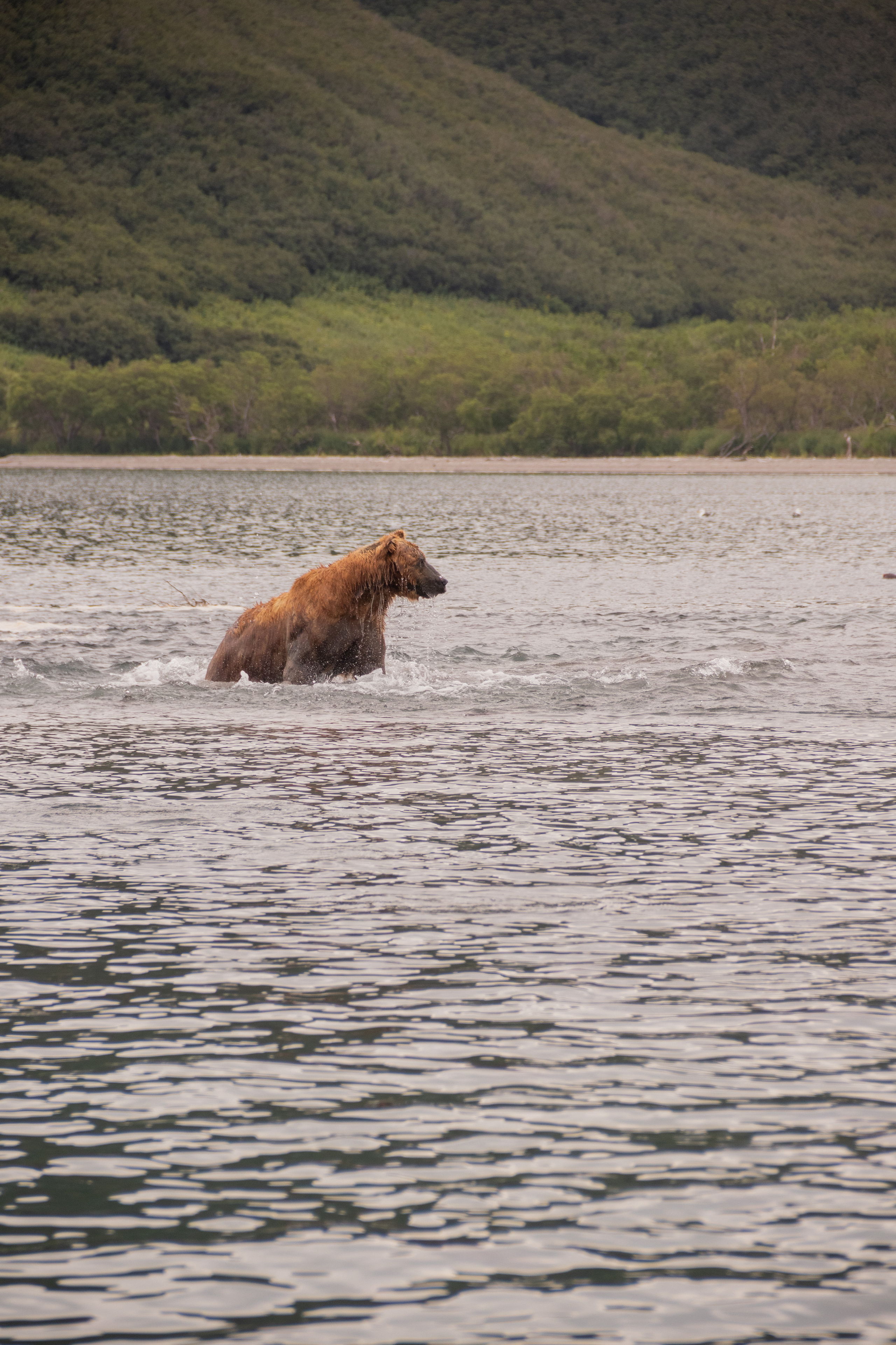 Камчатка. Наталия Фролова. Фотограф. Москва
