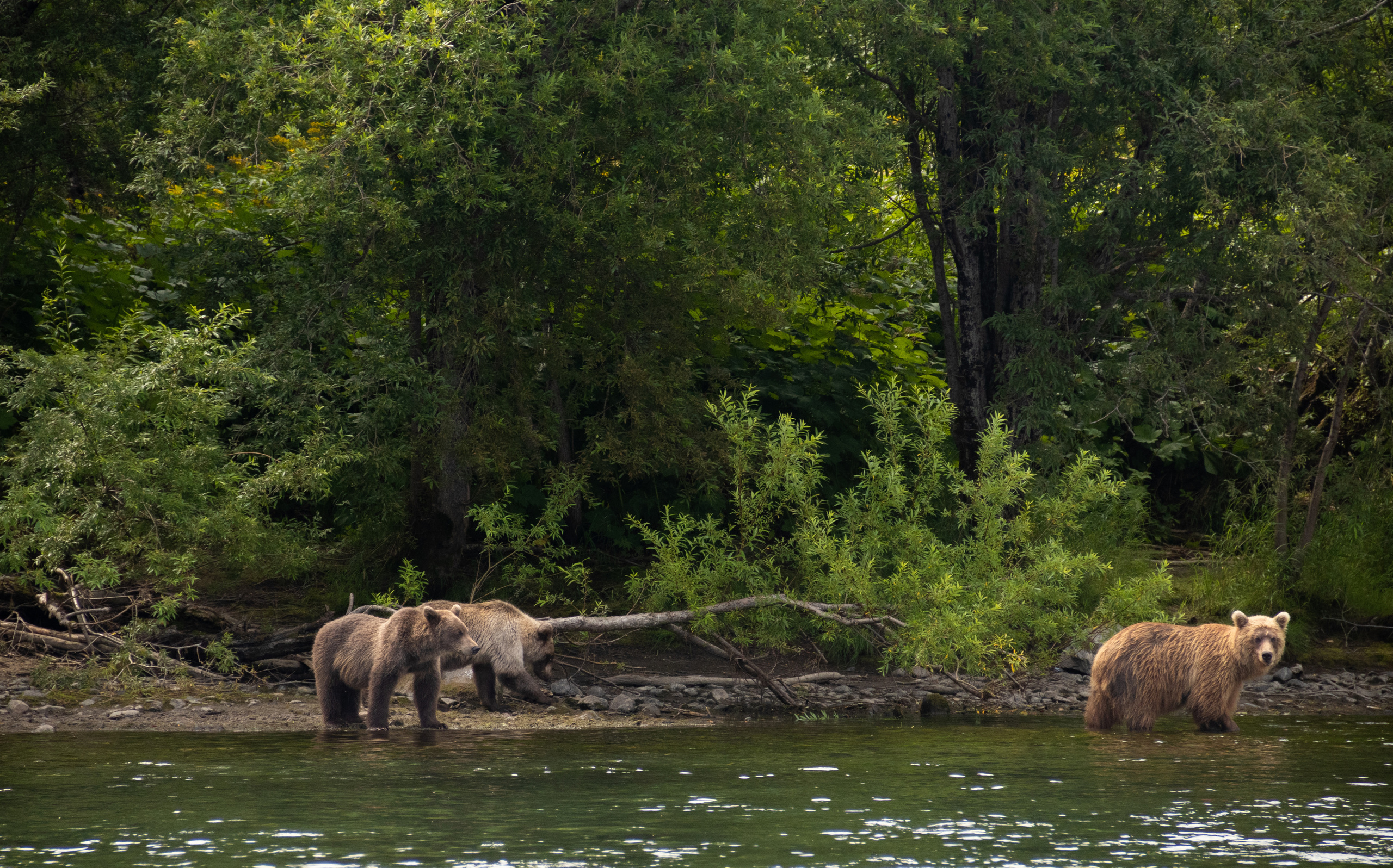 Камчатка. Наталия Фролова. Фотограф. Москва