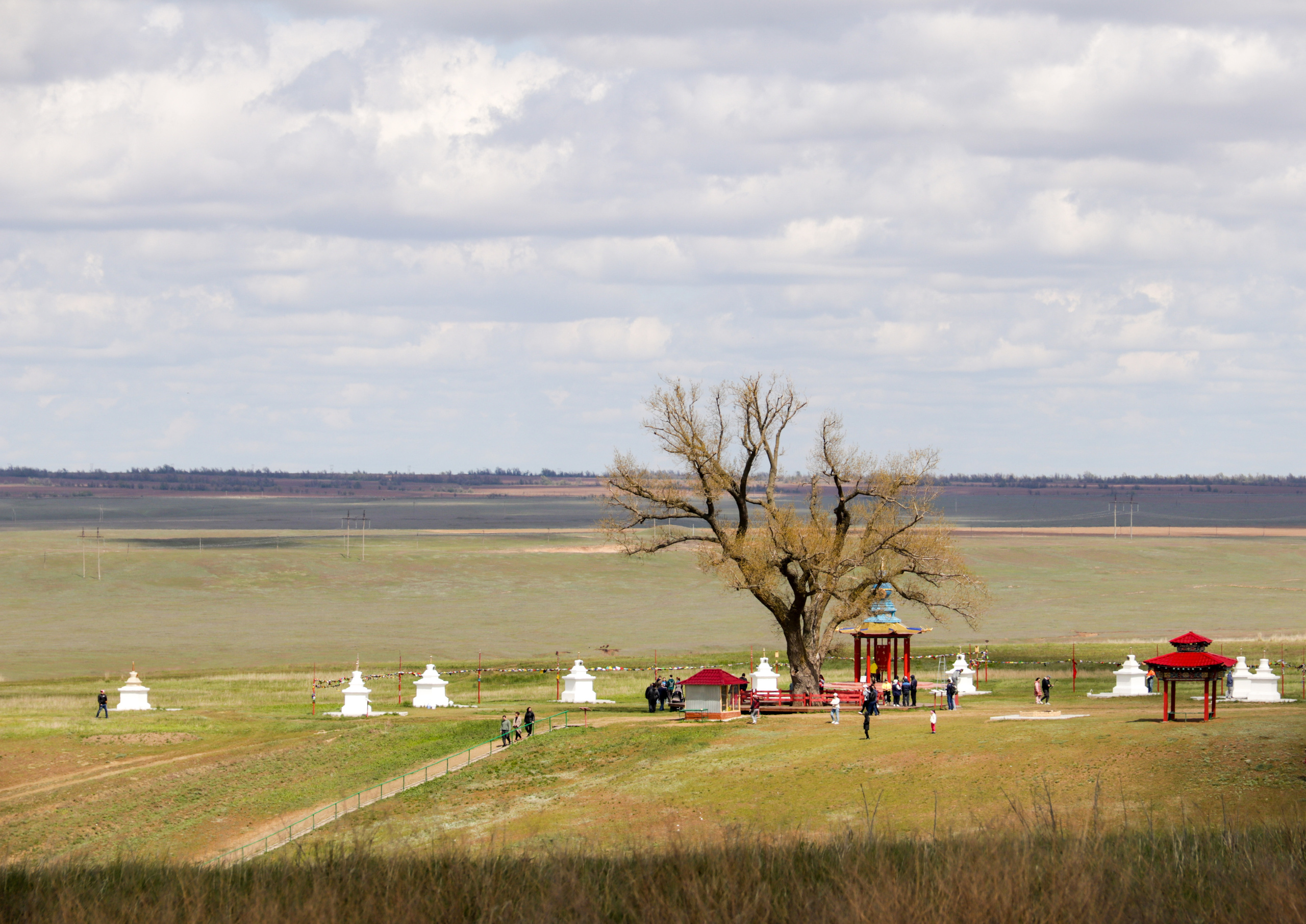 Калмыкия и Баскунчак. Наталия Фролова. Фотограф. Москва