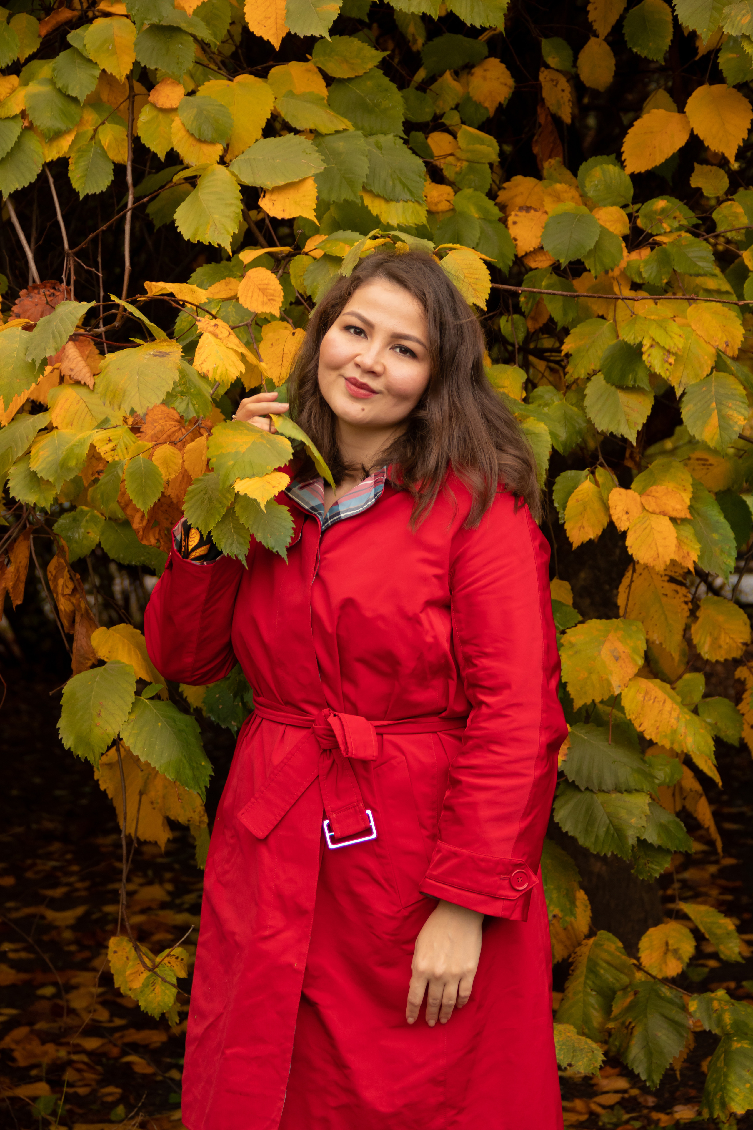 Золотая осень. Наталия Фролова. Фотограф. Москва