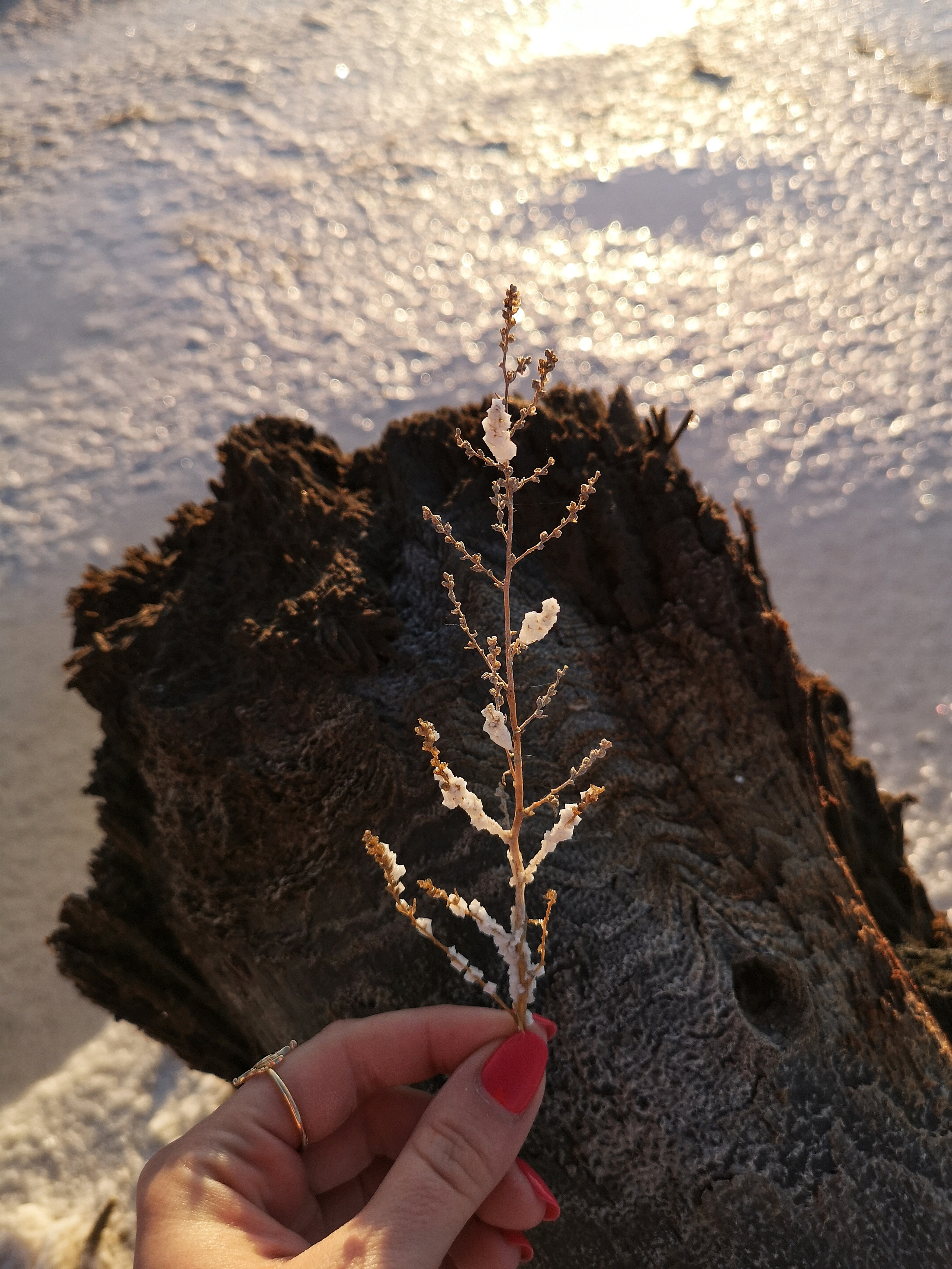 Калмыкия и Баскунчак. Наталия Фролова. Фотограф. Москва