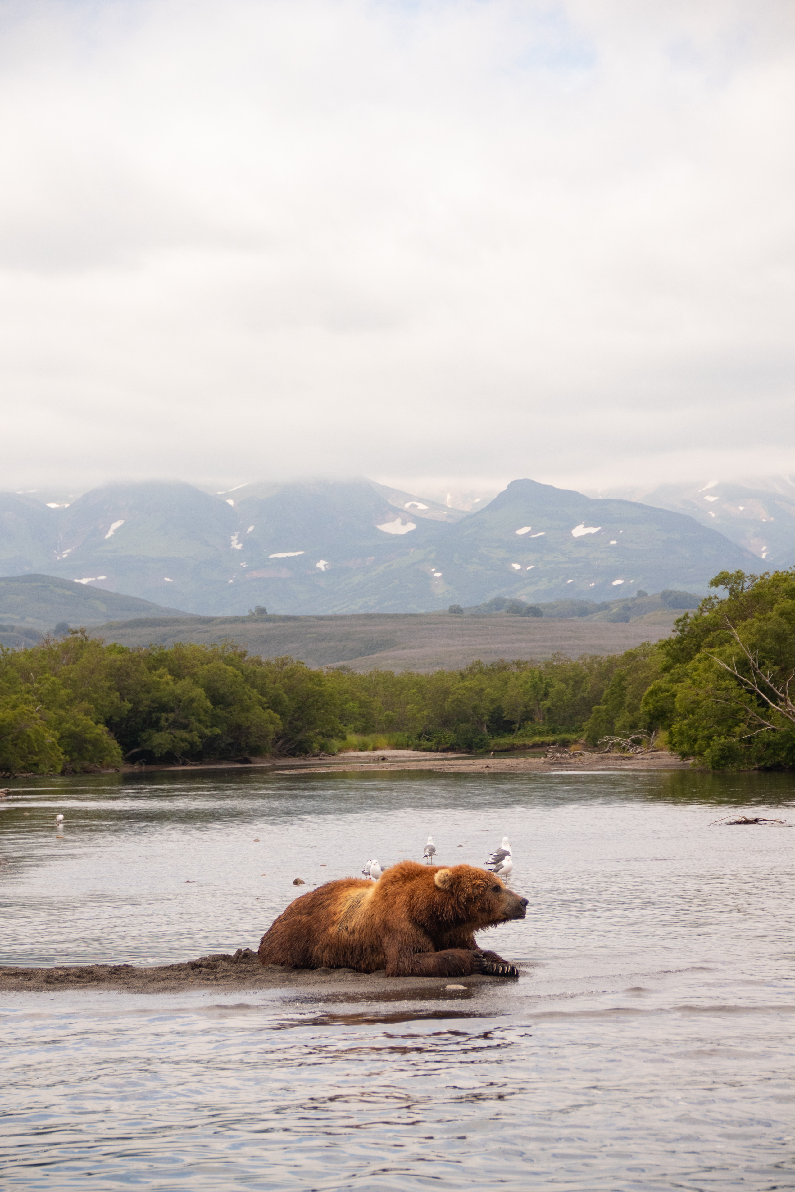 Камчатка. Наталия Фролова. Фотограф. Москва