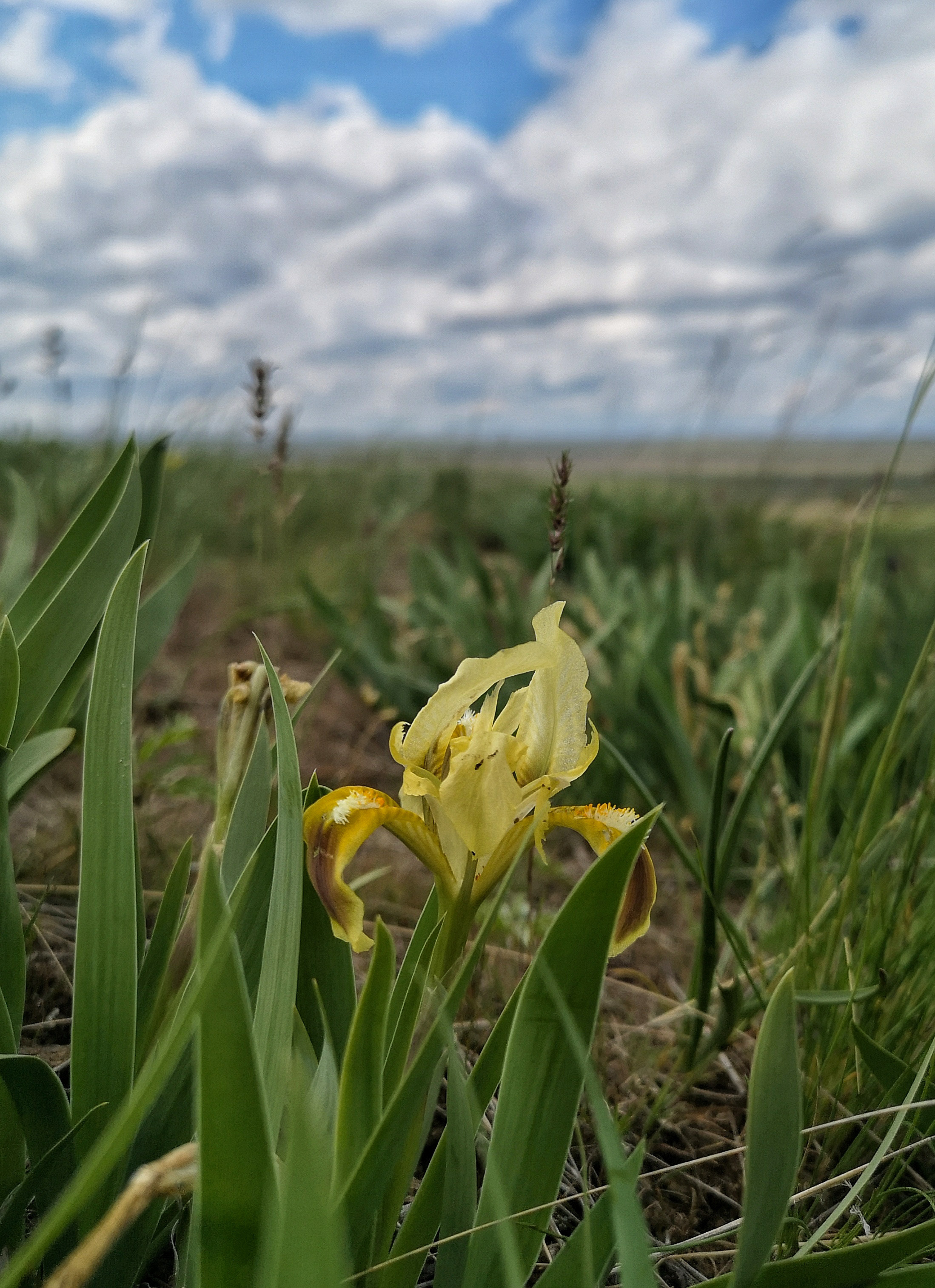 Калмыкия и Баскунчак. Наталия Фролова. Фотограф. Москва