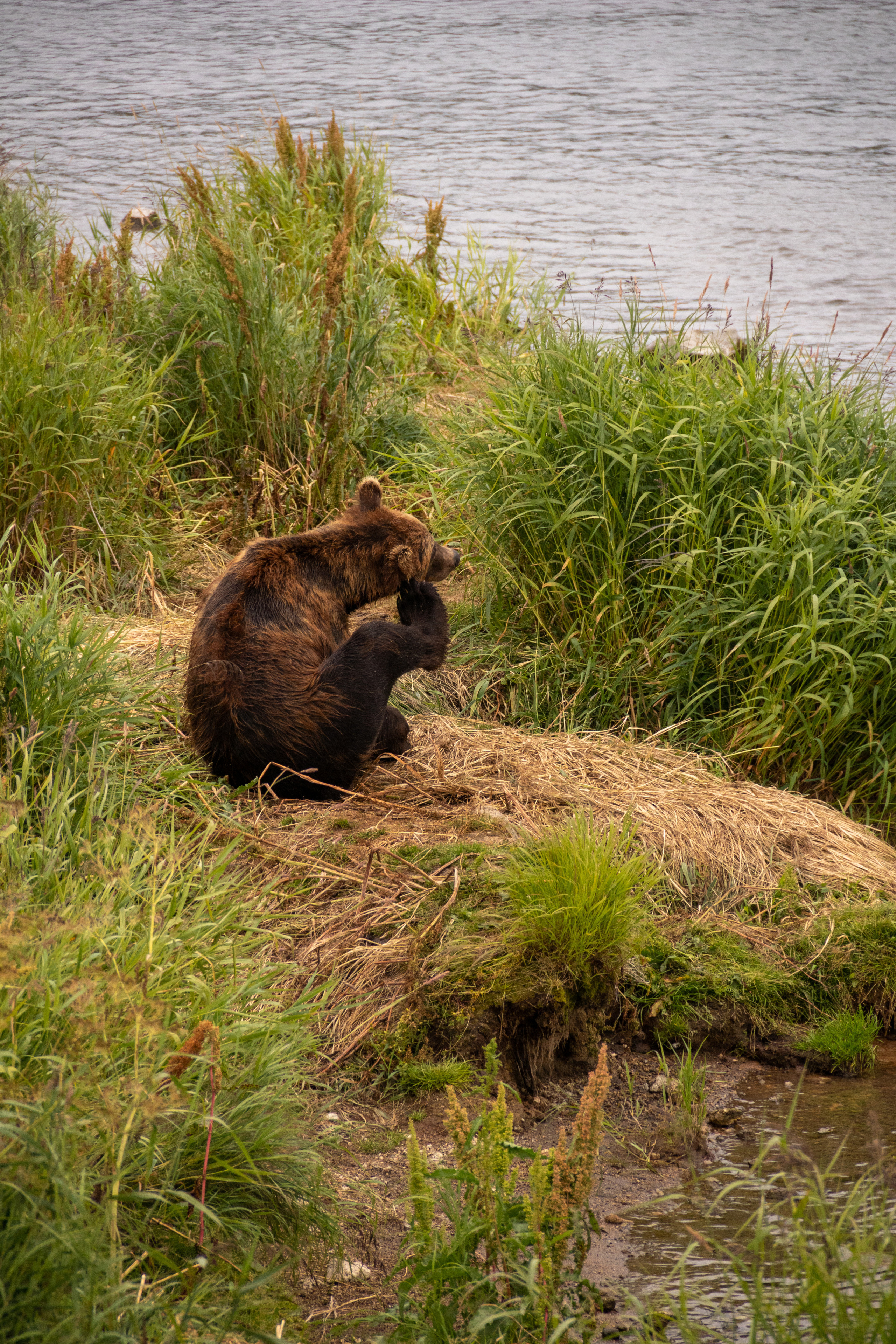 Камчатка. Наталия Фролова. Фотограф. Москва