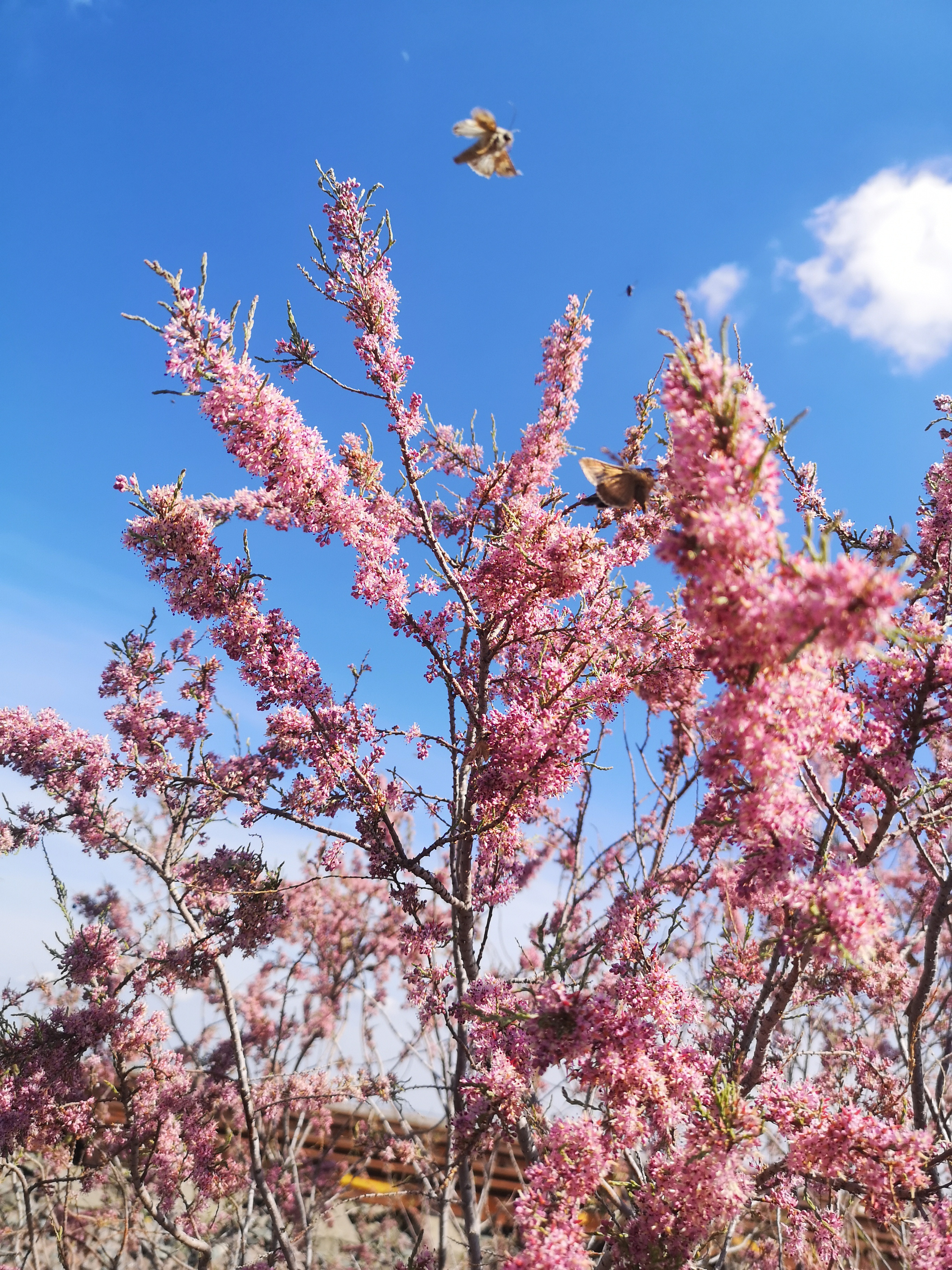 Калмыкия и Баскунчак. Наталия Фролова. Фотограф. Москва