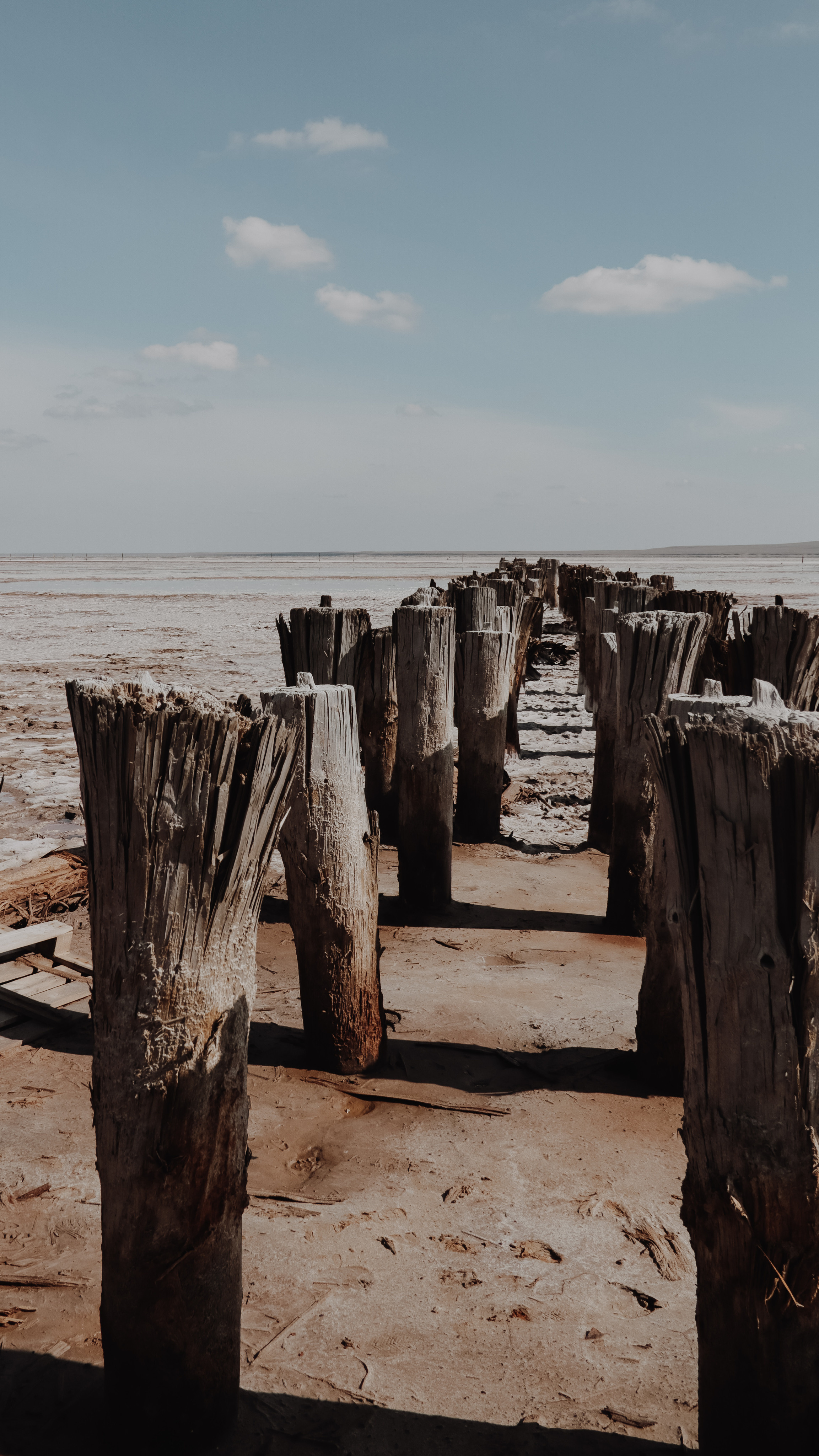 Калмыкия и Баскунчак. Наталия Фролова. Фотограф. Москва