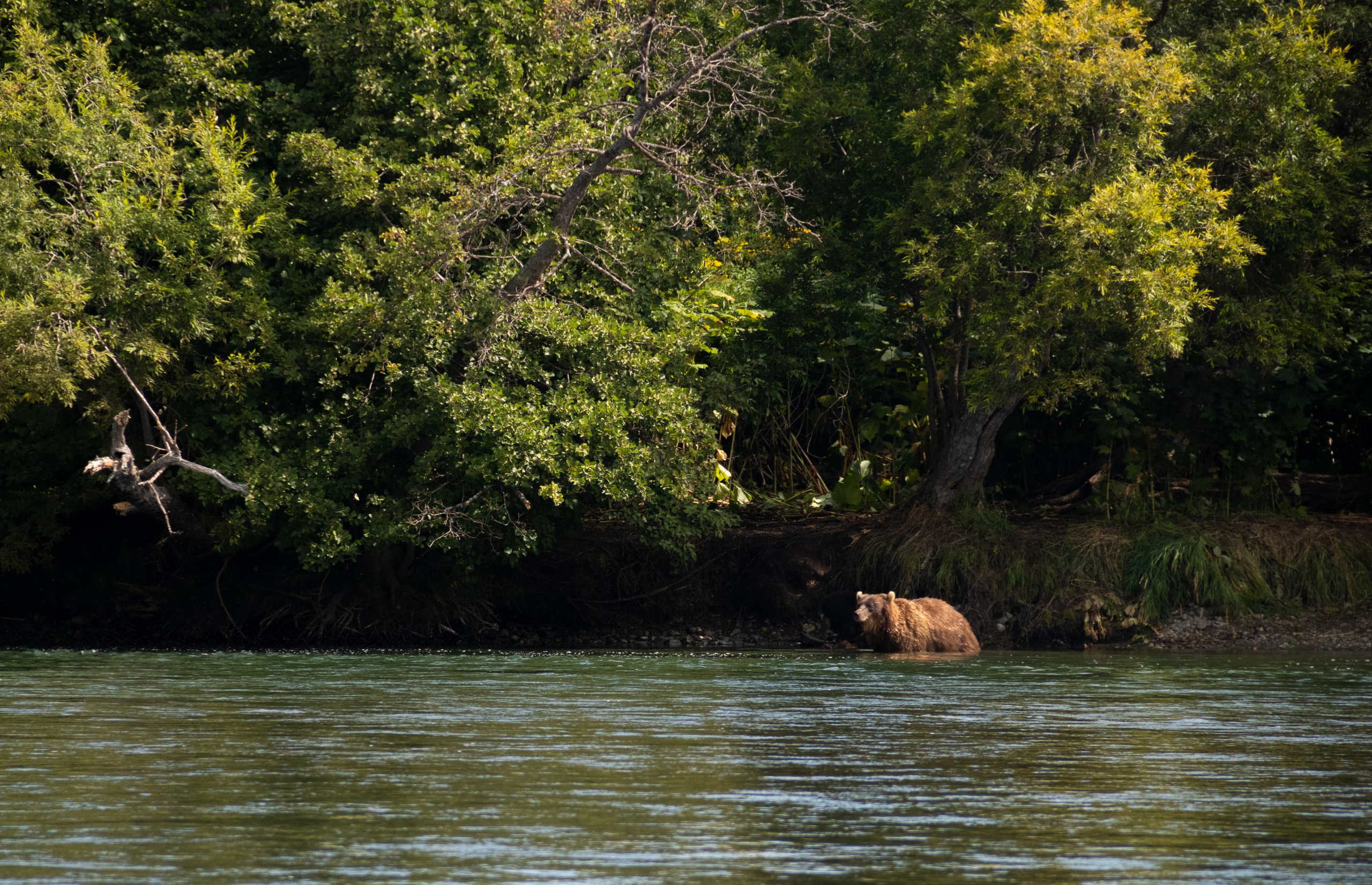 Камчатка. Наталия Фролова. Фотограф. Москва