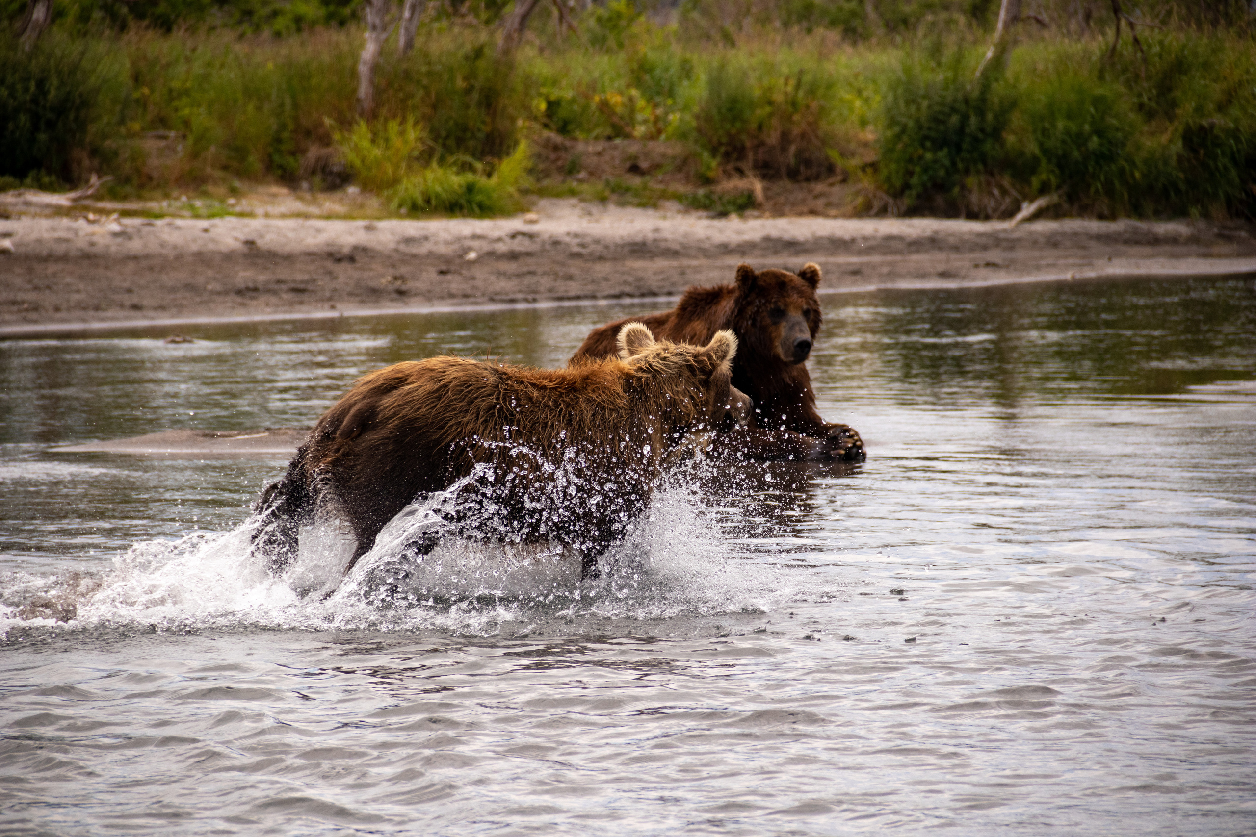 Камчатка. Наталия Фролова. Фотограф. Москва