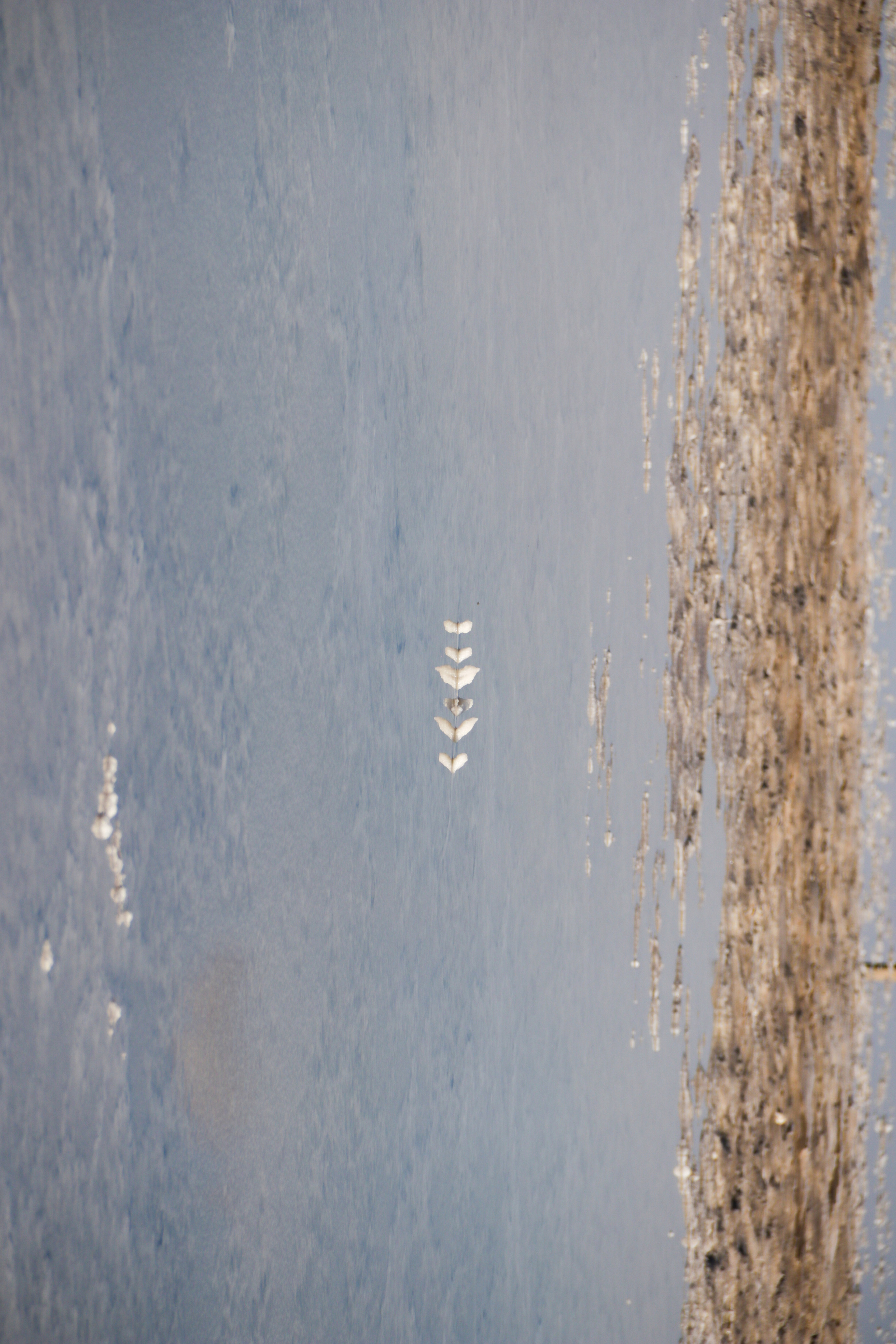 Калмыкия и Баскунчак. Наталия Фролова. Фотограф. Москва