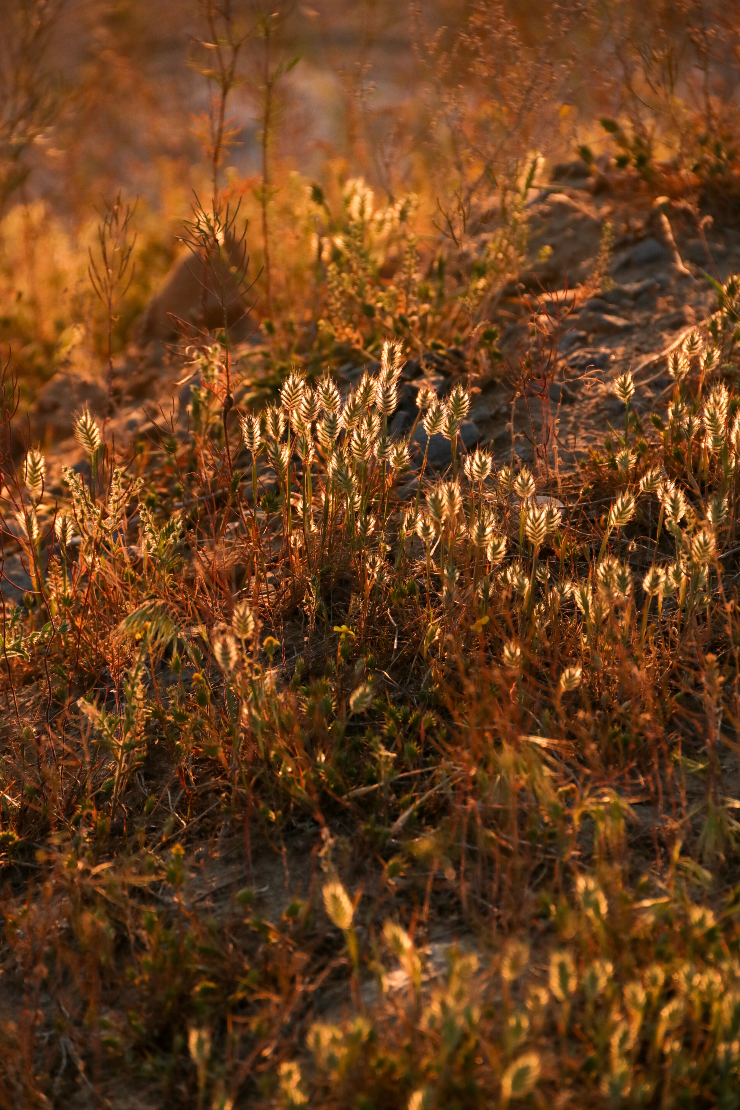 Калмыкия и Баскунчак. Наталия Фролова. Фотограф. Москва