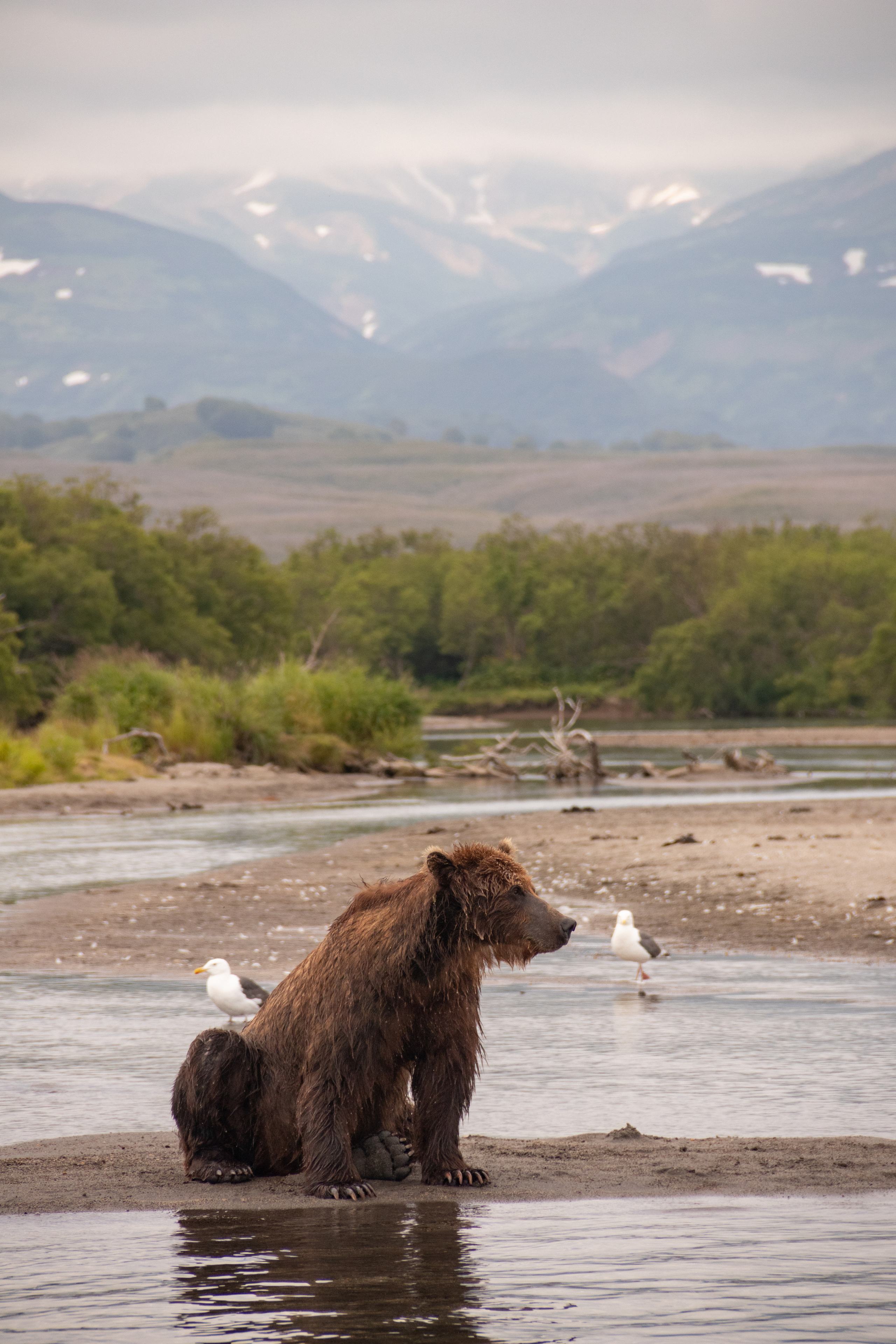 Камчатка. Наталия Фролова. Фотограф. Москва