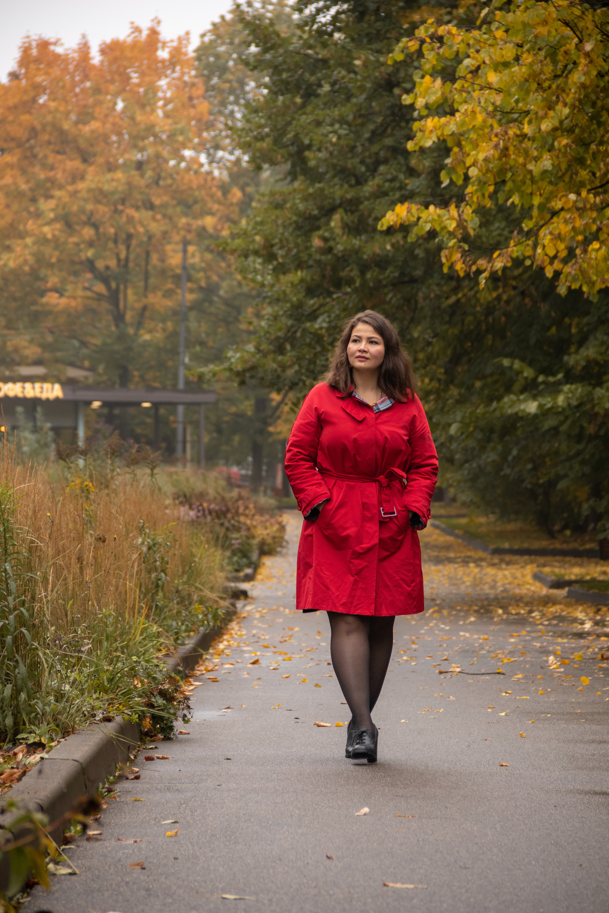 Золотая осень. Наталия Фролова. Фотограф. Москва