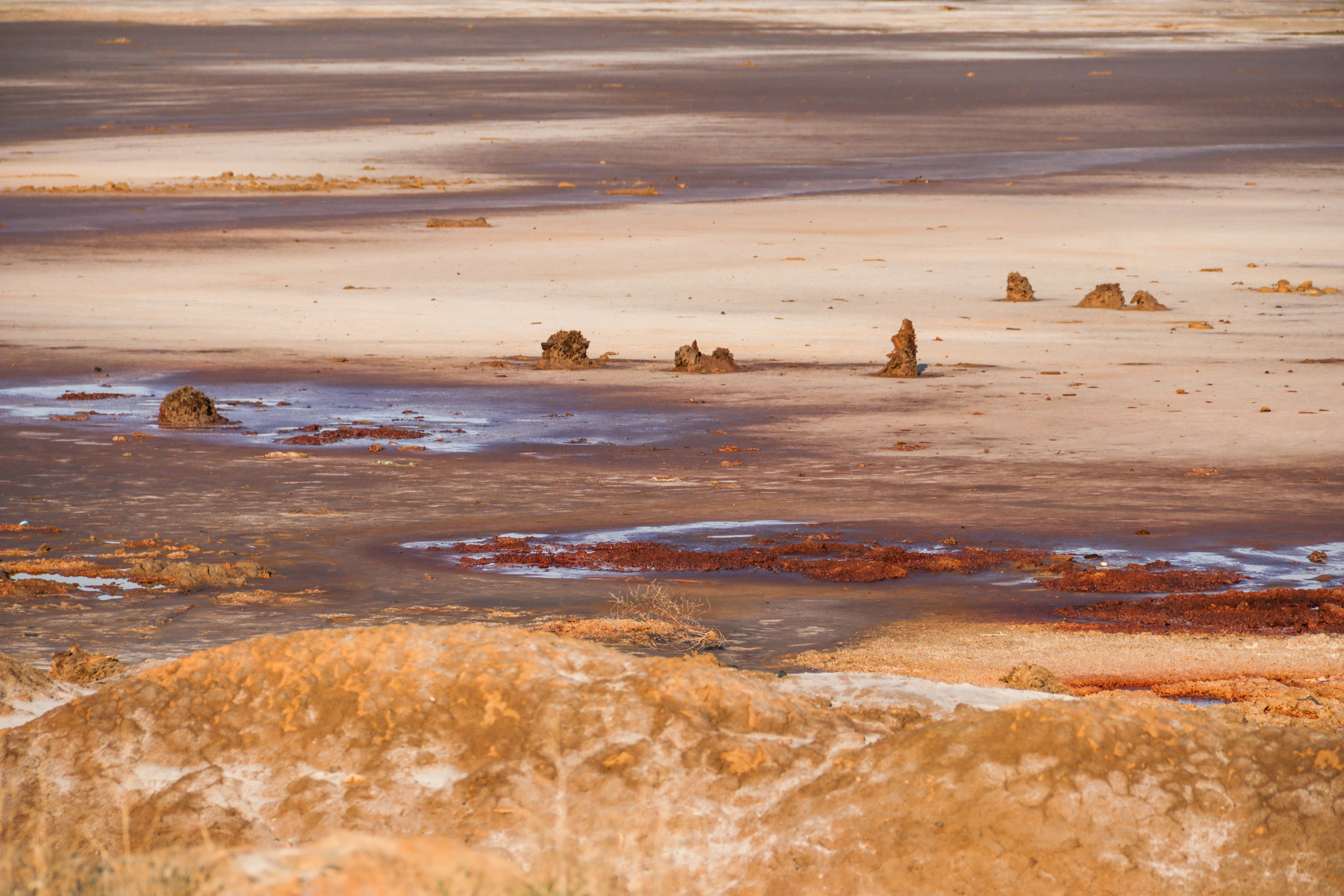 Калмыкия и Баскунчак. Наталия Фролова. Фотограф. Москва