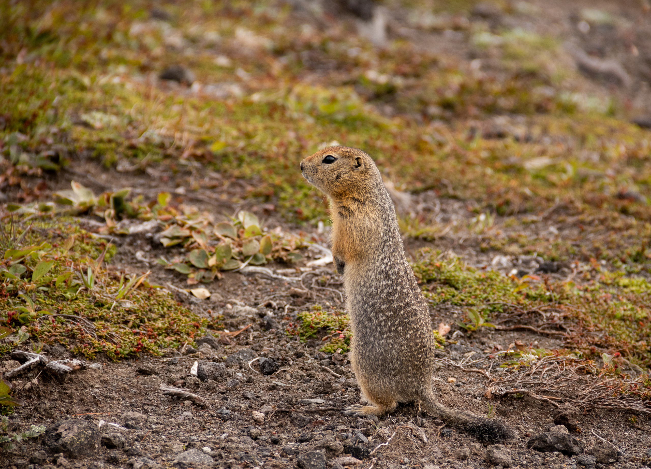 Камчатка. Наталия Фролова. Фотограф. Москва