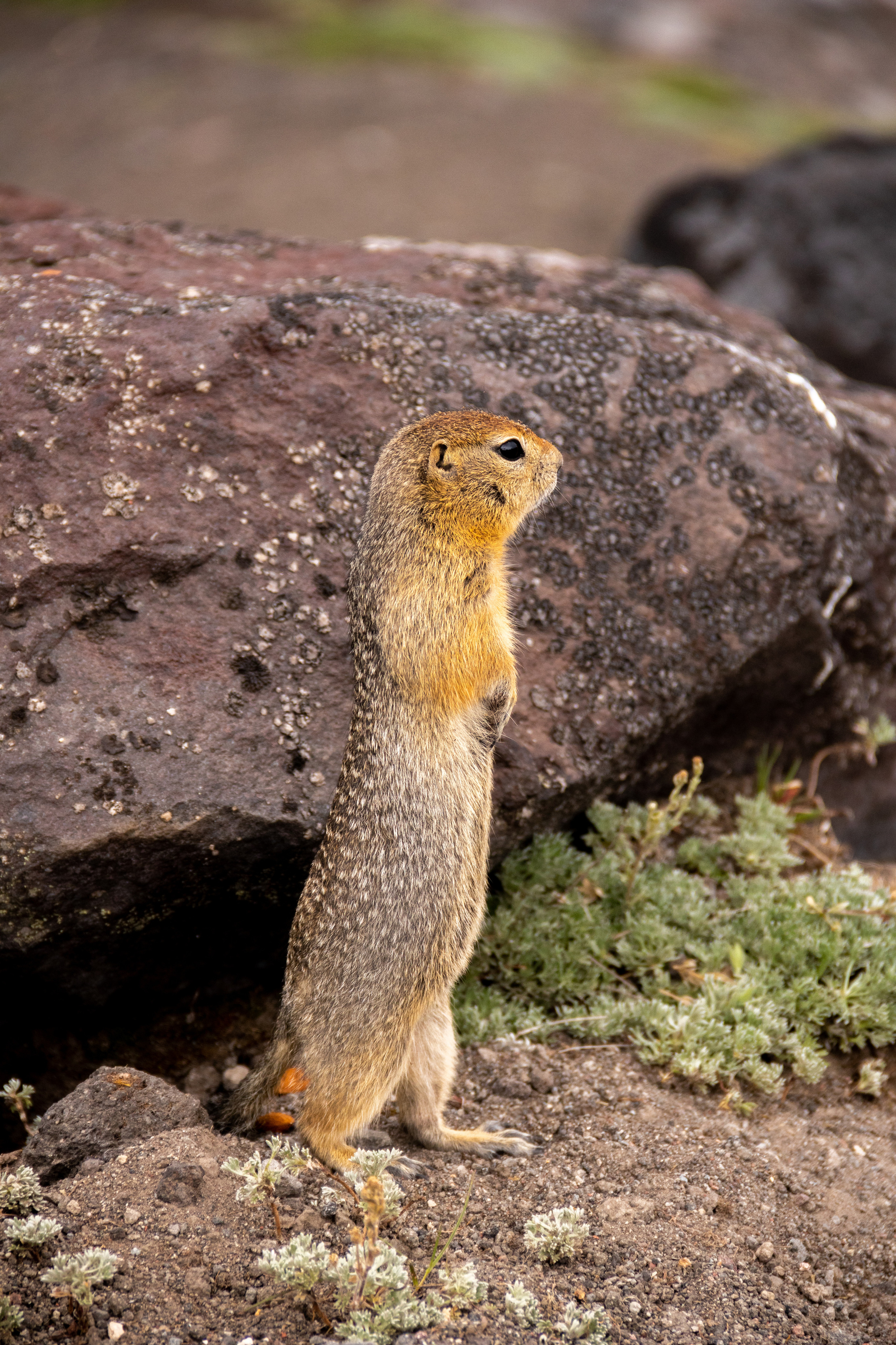Камчатка. Наталия Фролова. Фотограф. Москва